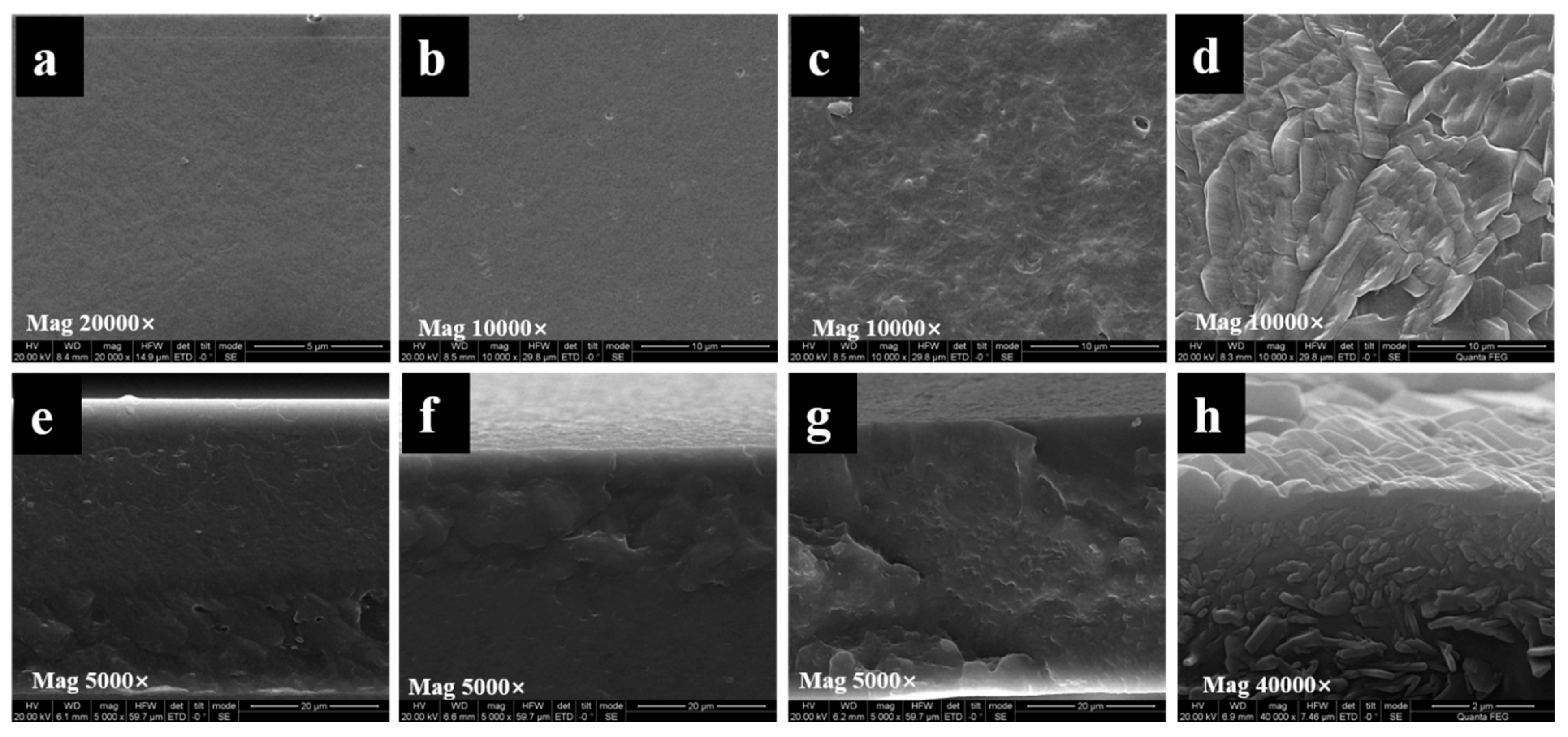 Molecules 26 00762 g005 Molecules 26 00762 g005