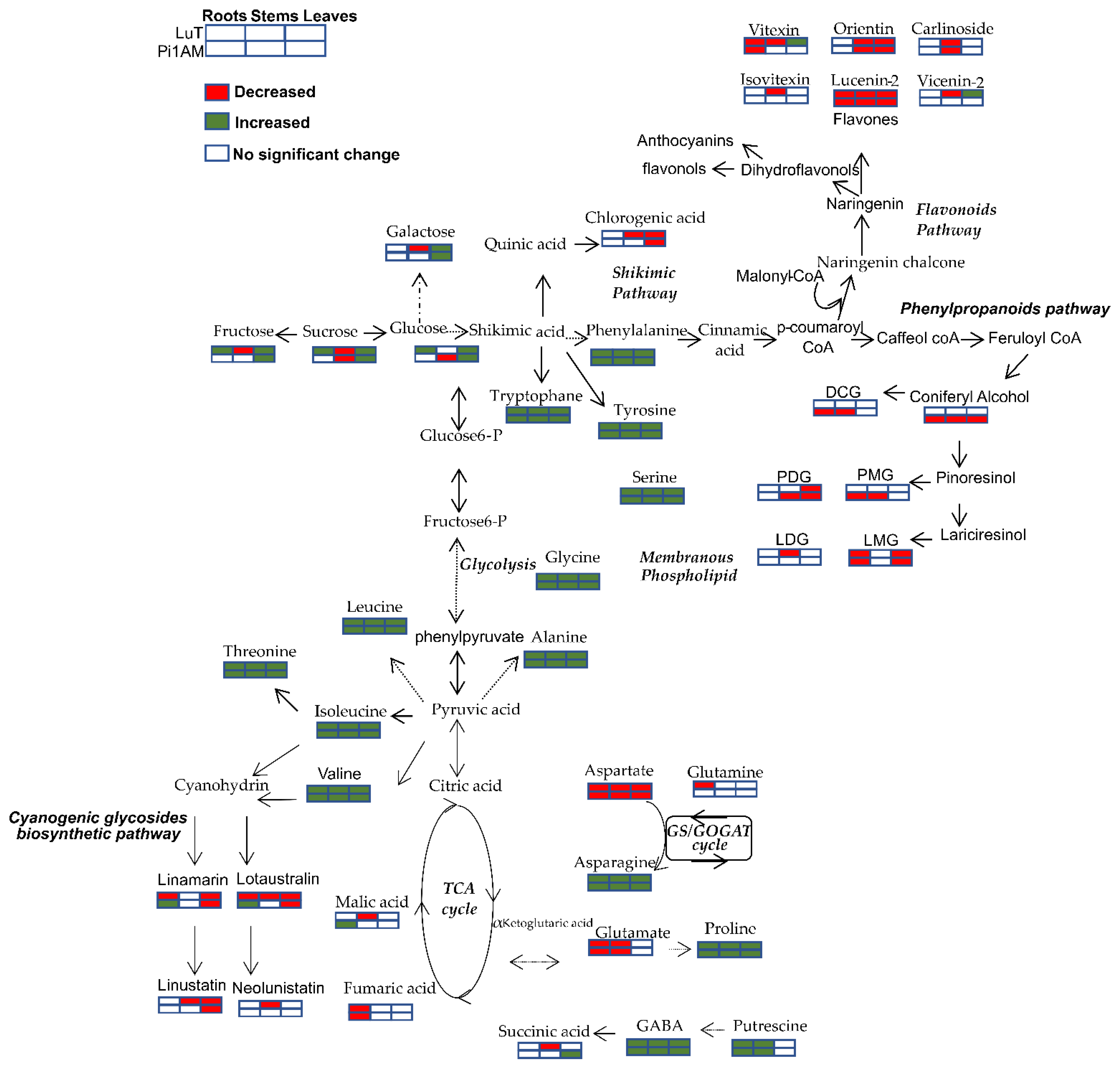 Molecules 26 00767 g006 Molecules 26 00767 g006