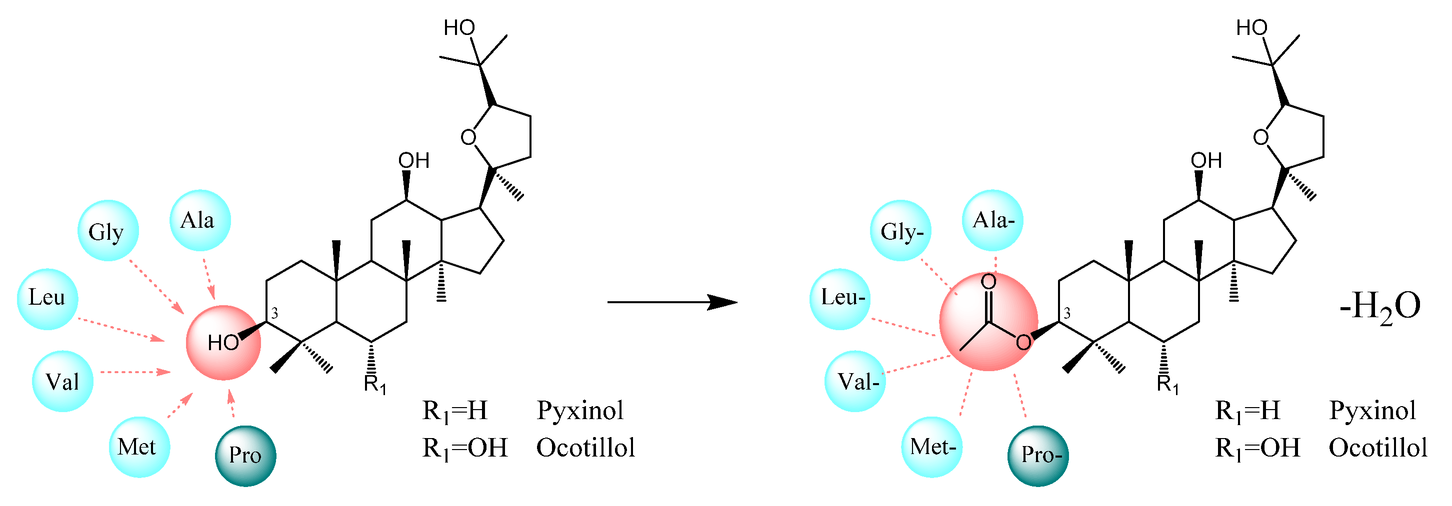 Molecules 26 00780 g001