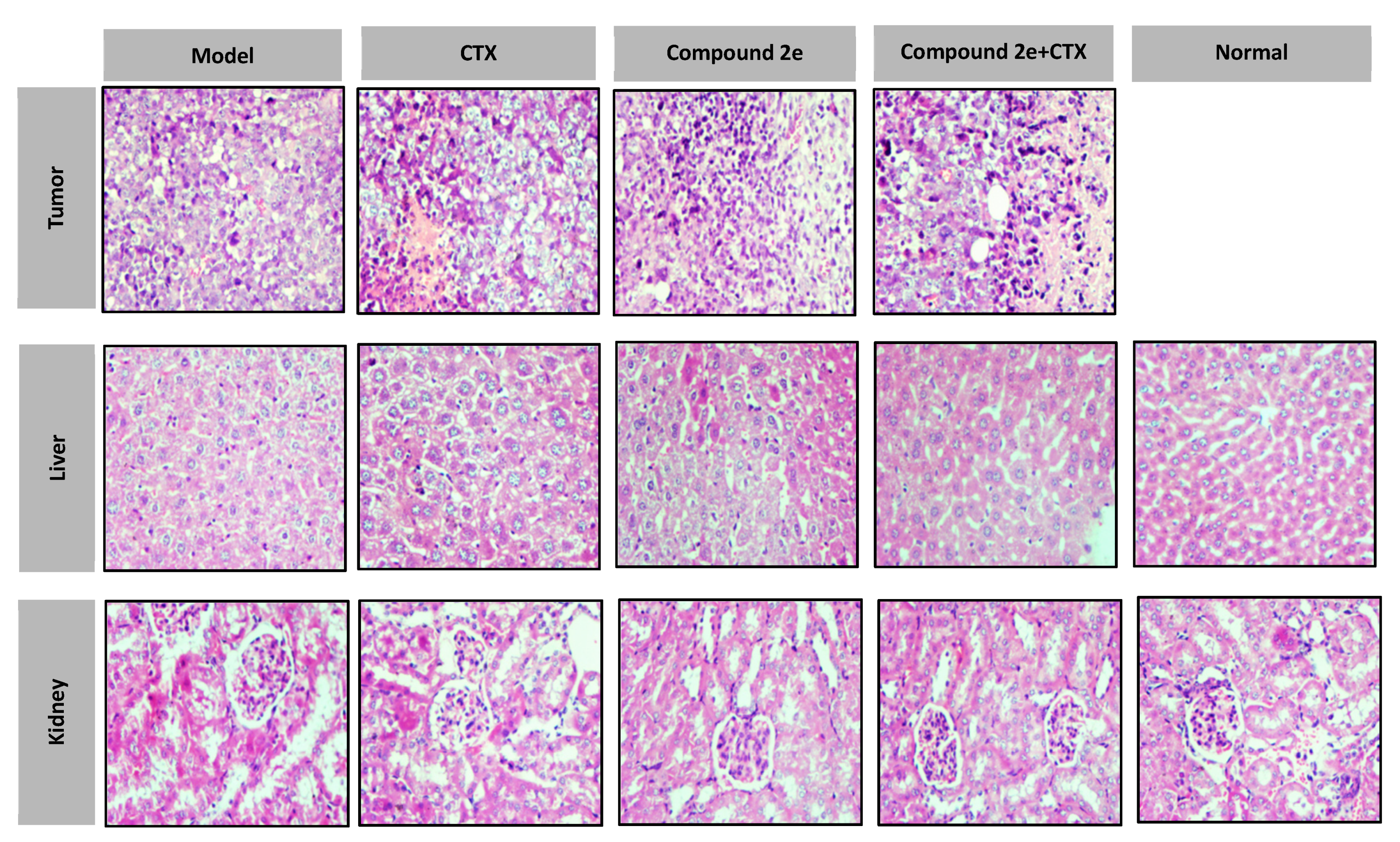 Molecules 26 00780 g004