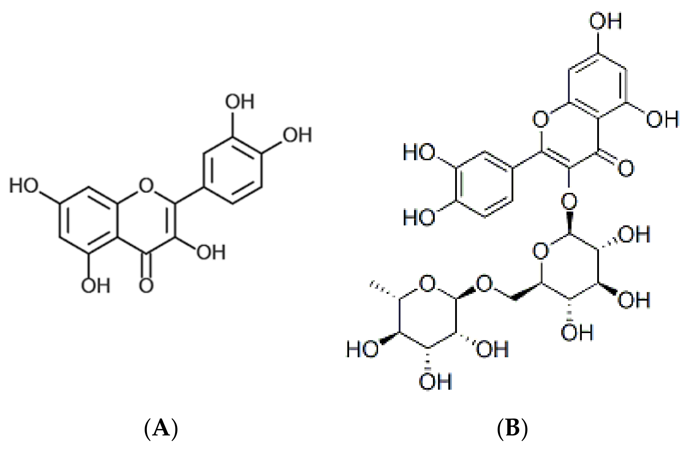 Molecules 26 00795 g005 Molecules 26 00795 g005