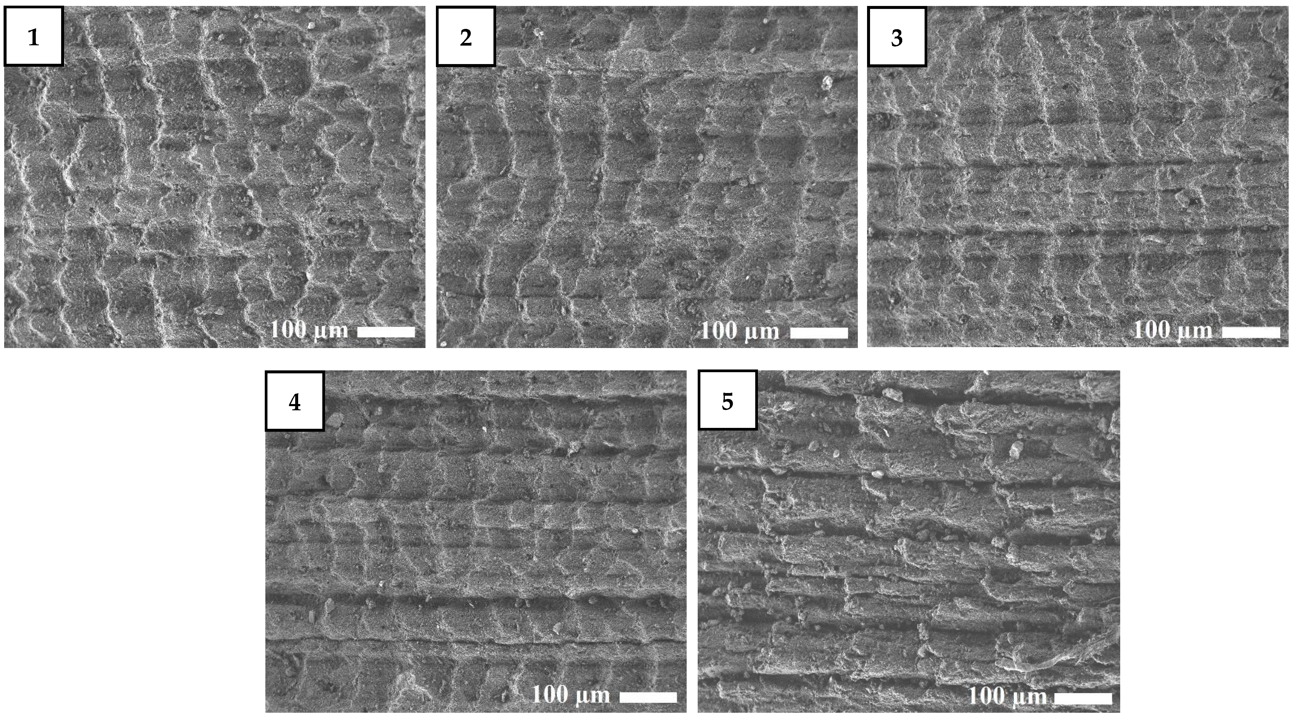 Molecules 26 00805 g002