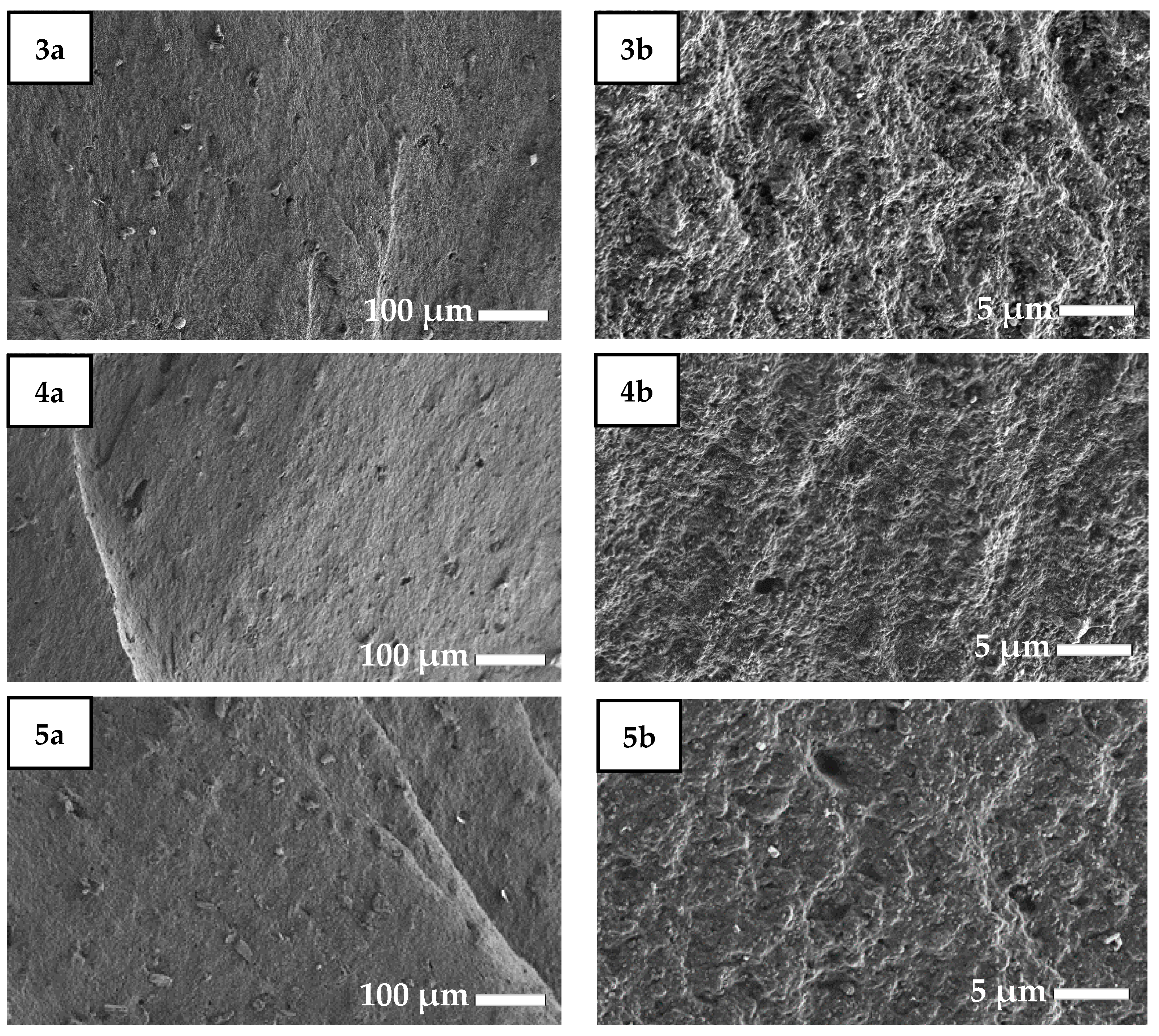 Molecules 26 00805 g003b