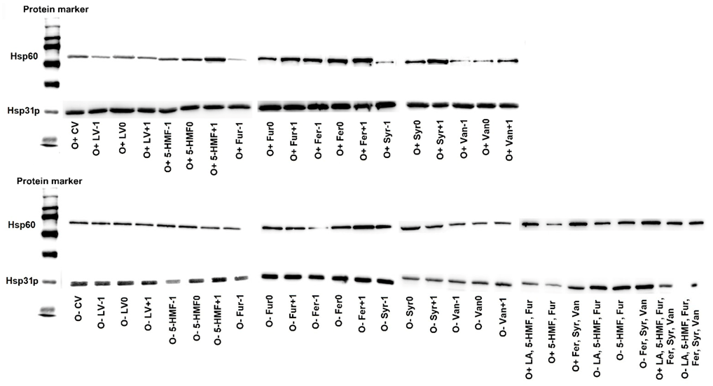 Molecules 26 00806 g008 Molecules 26 00806 g008