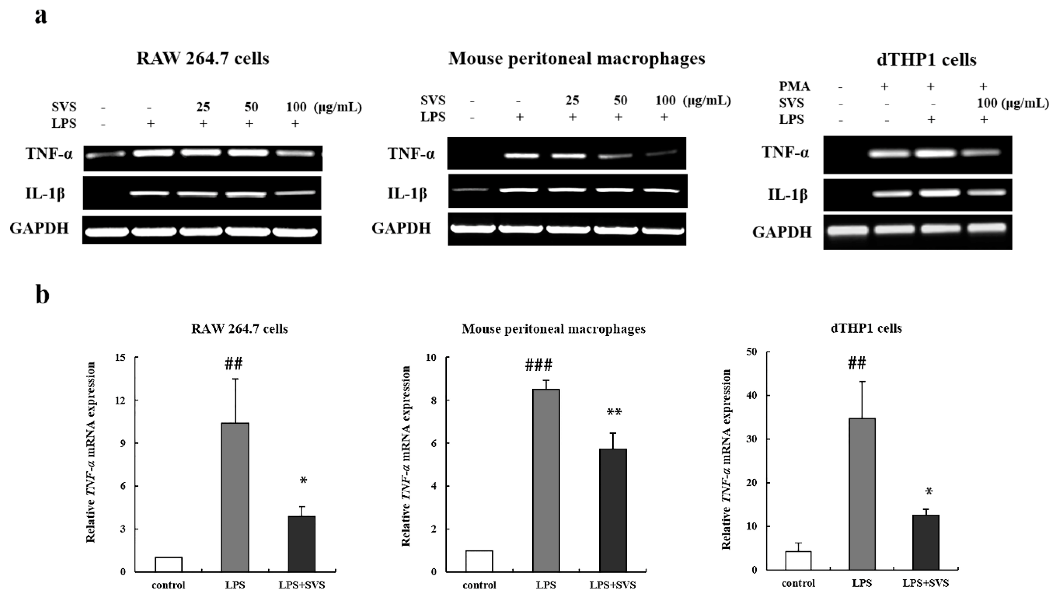 Molecules 26 00858 g002a