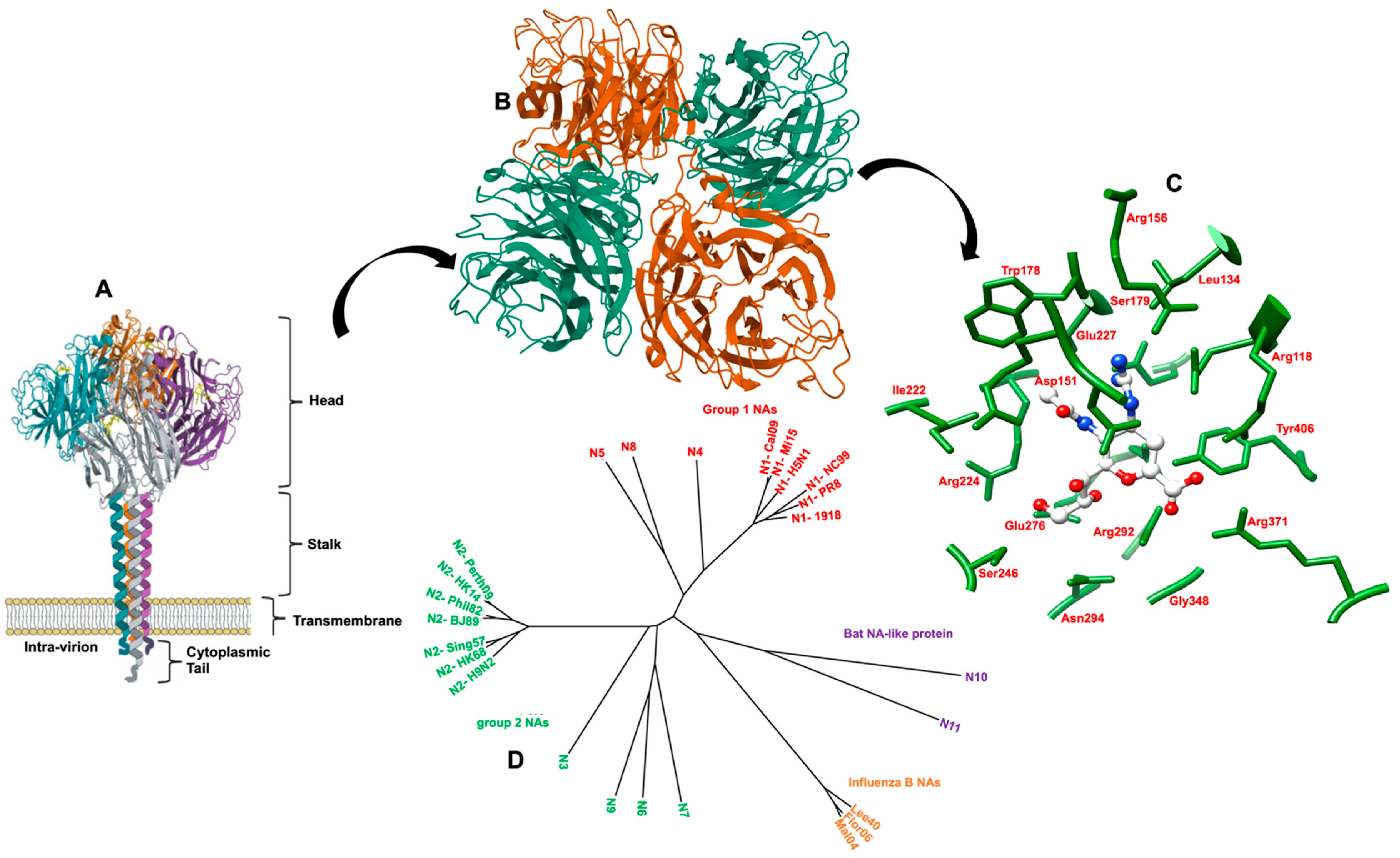 Molecules 26 00880 g006 Molecules 26 00880 g006