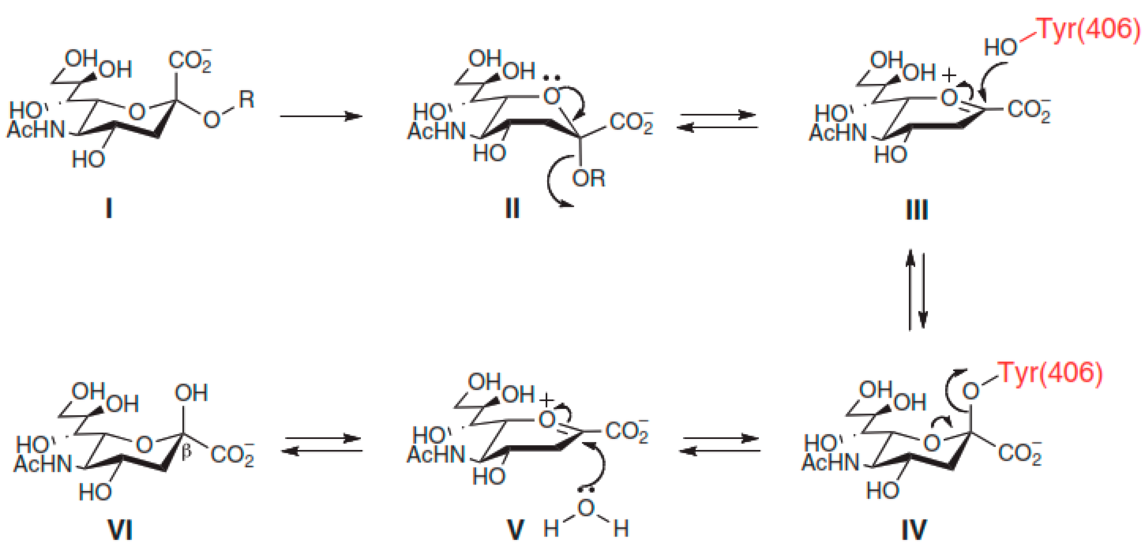 Molecules 26 00880 g008 Molecules 26 00880 g008
