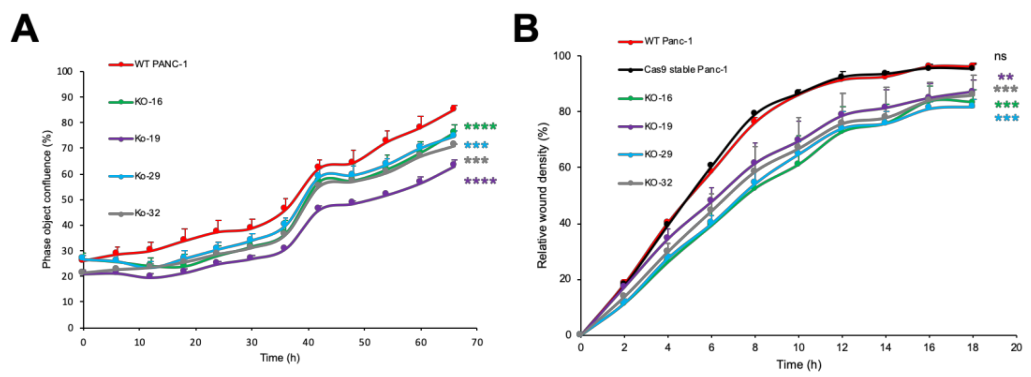 Molecules 26 00882 g003