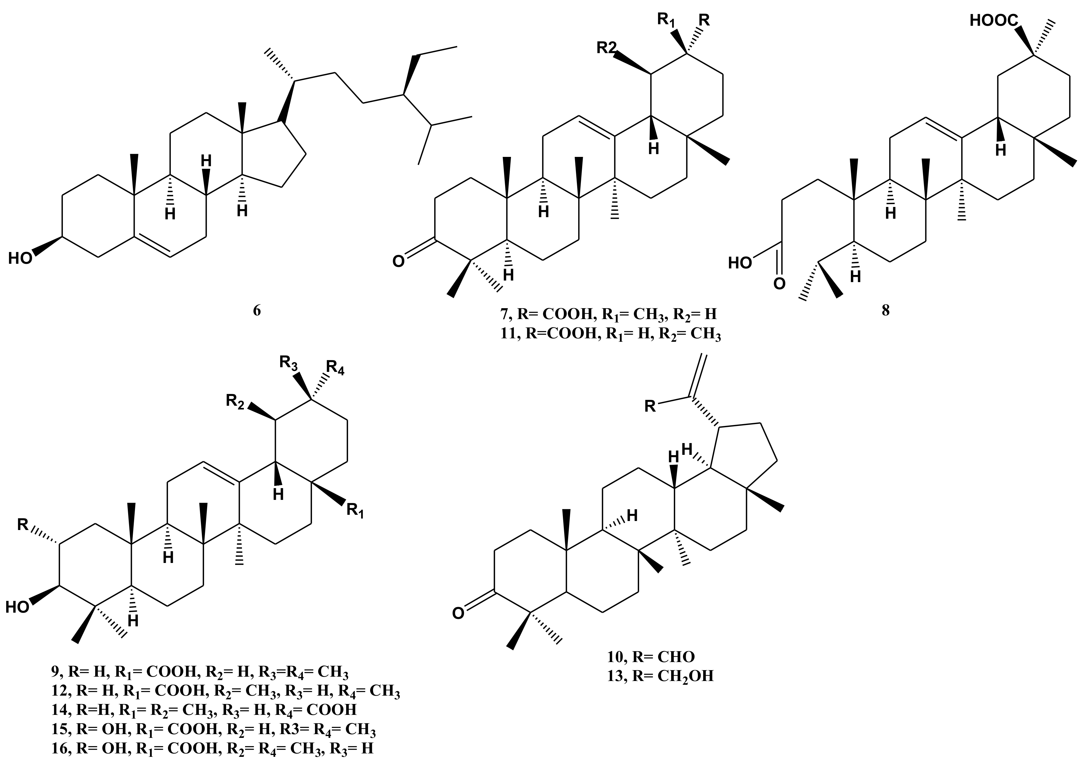 Molecules 26 00914 g002