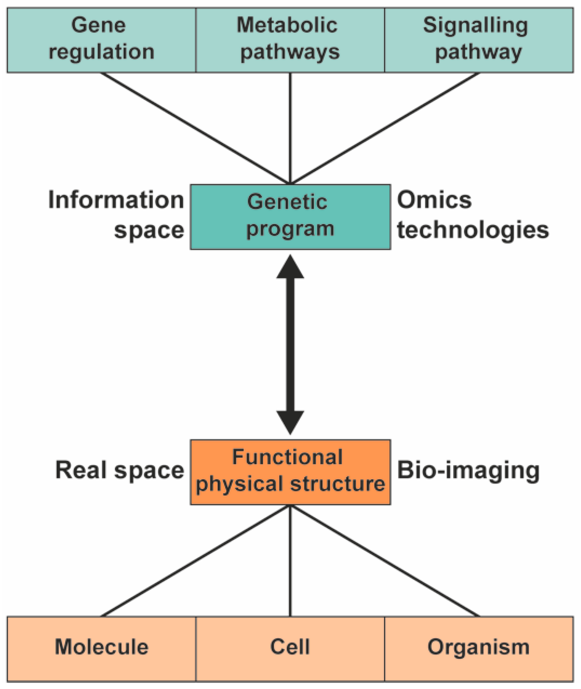 Molecules 26 00931 g001 Molecules 26 00931 g001