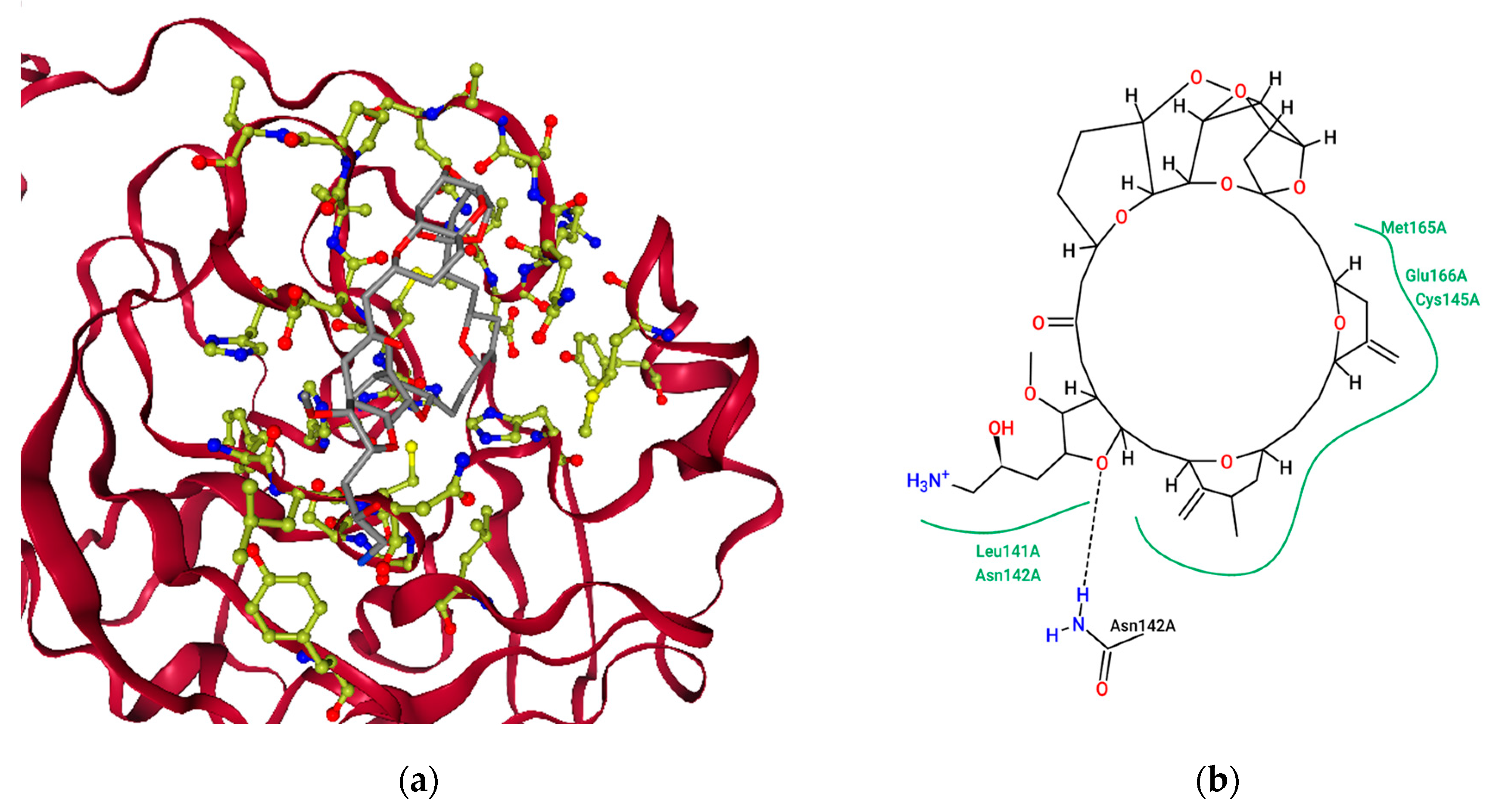 Molecules 26 00936 g004