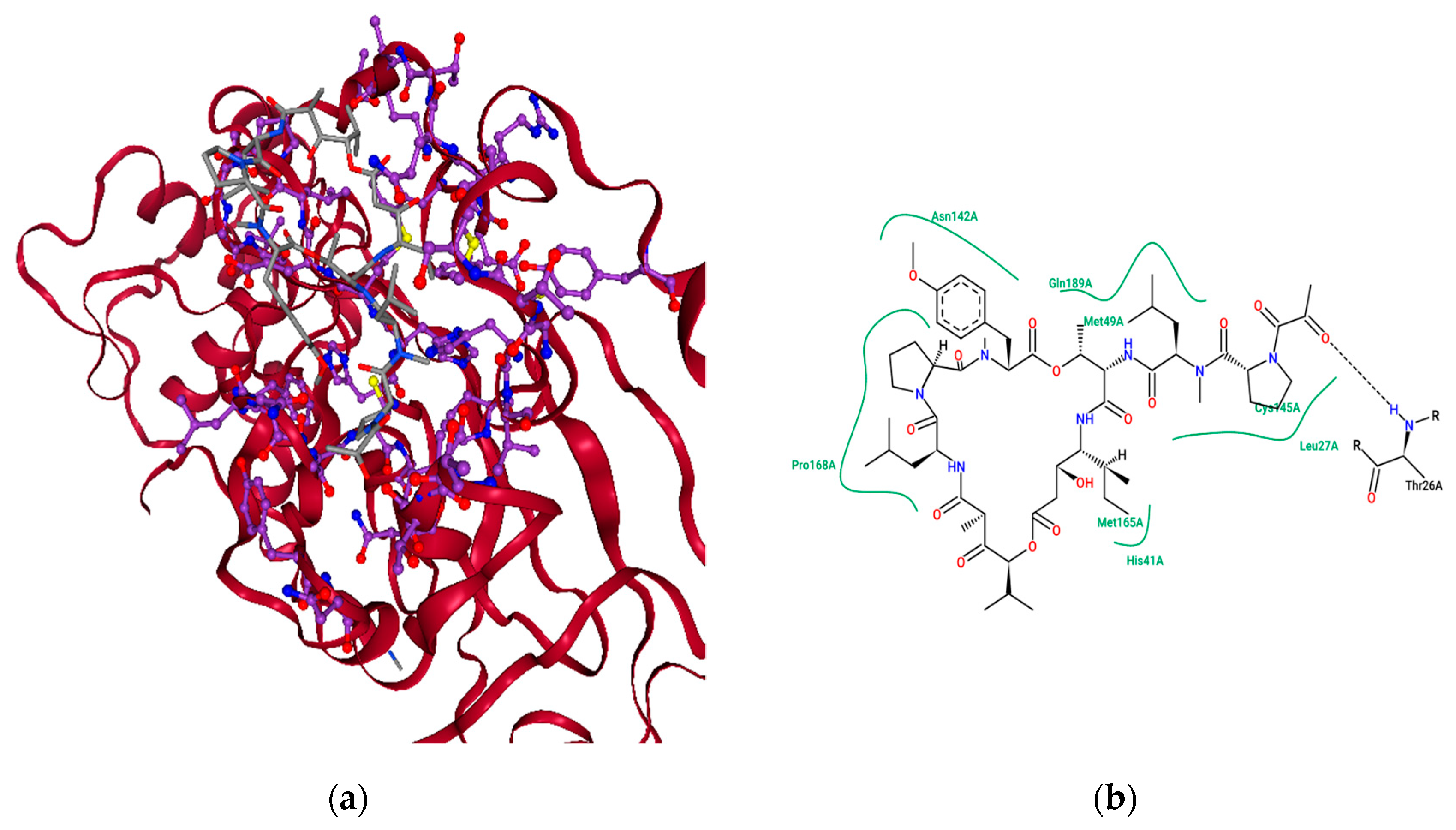 Molecules 26 00936 g005