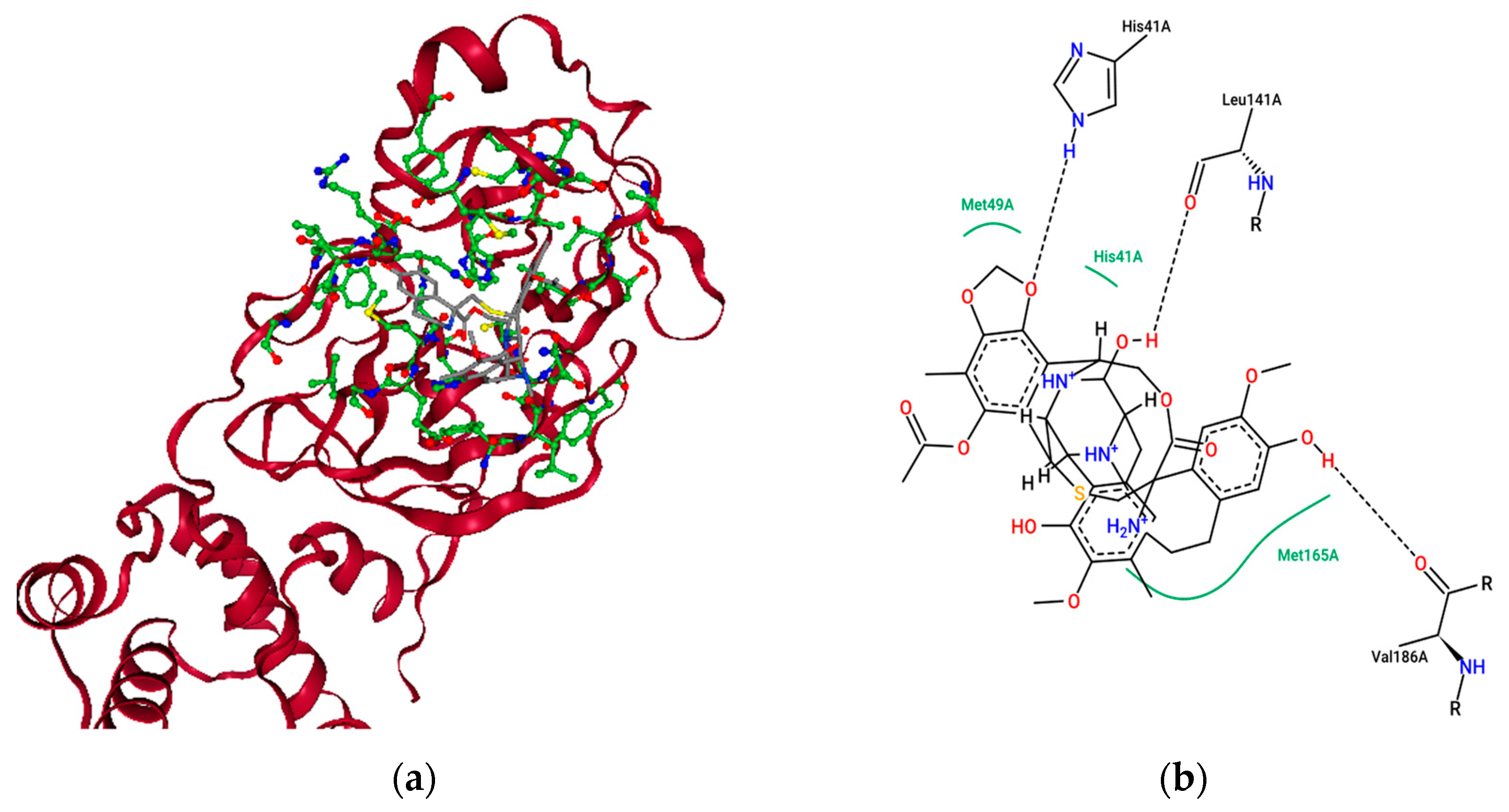Molecules 26 00936 g006