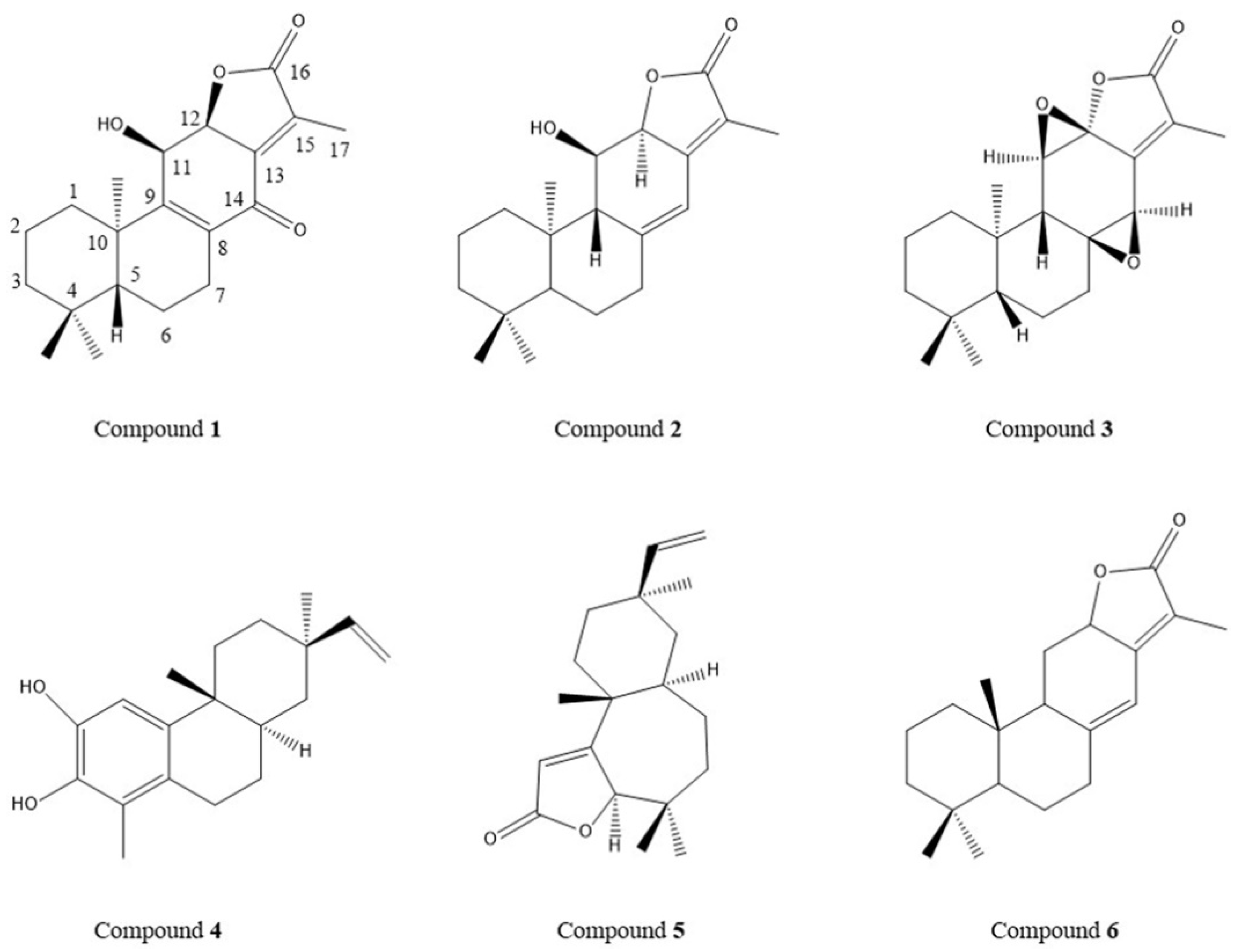 Molecules 26 00942 g005 Molecules 26 00942 g005