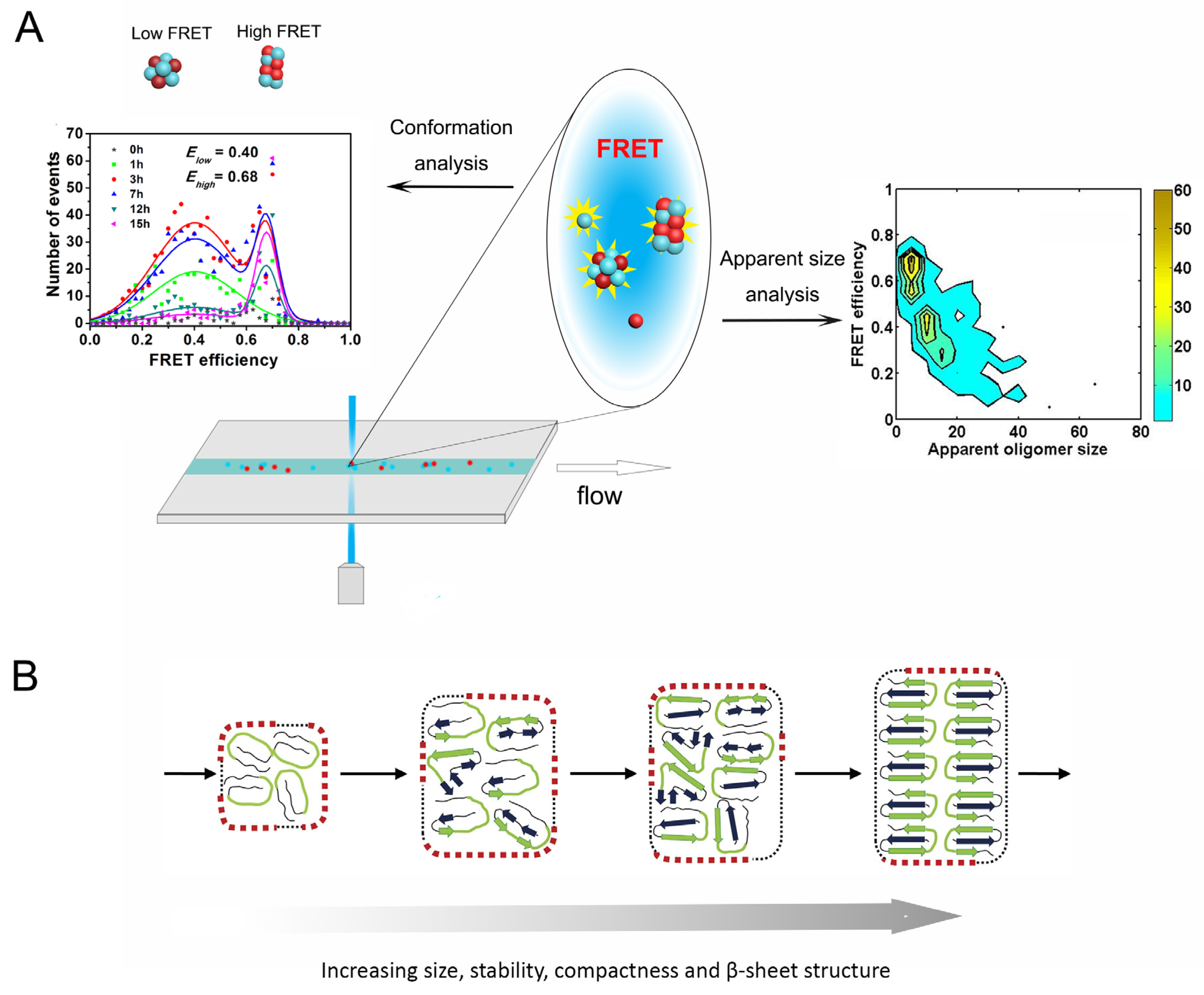 Molecules 26 00948 g002