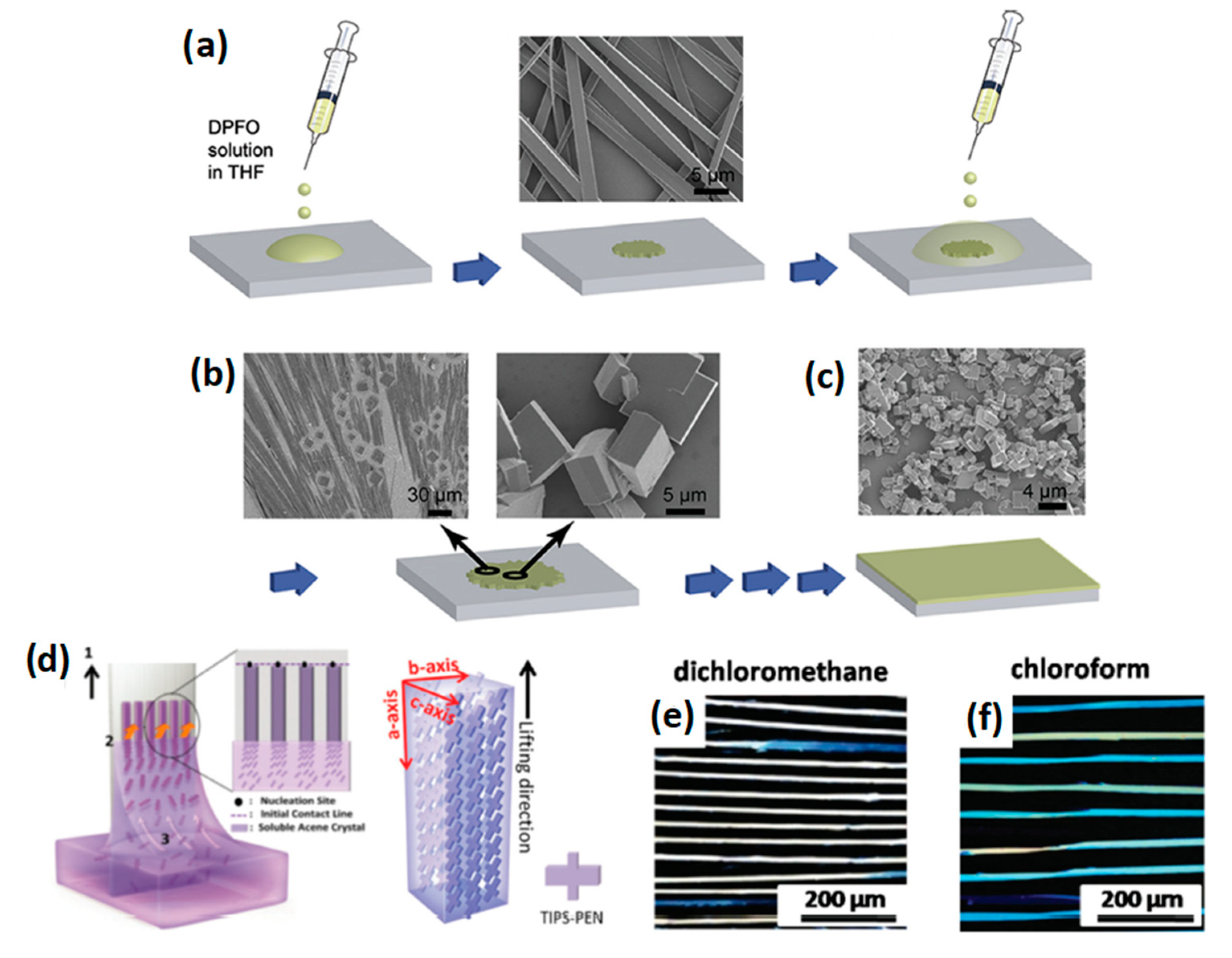 Molecules 26 00958 g004