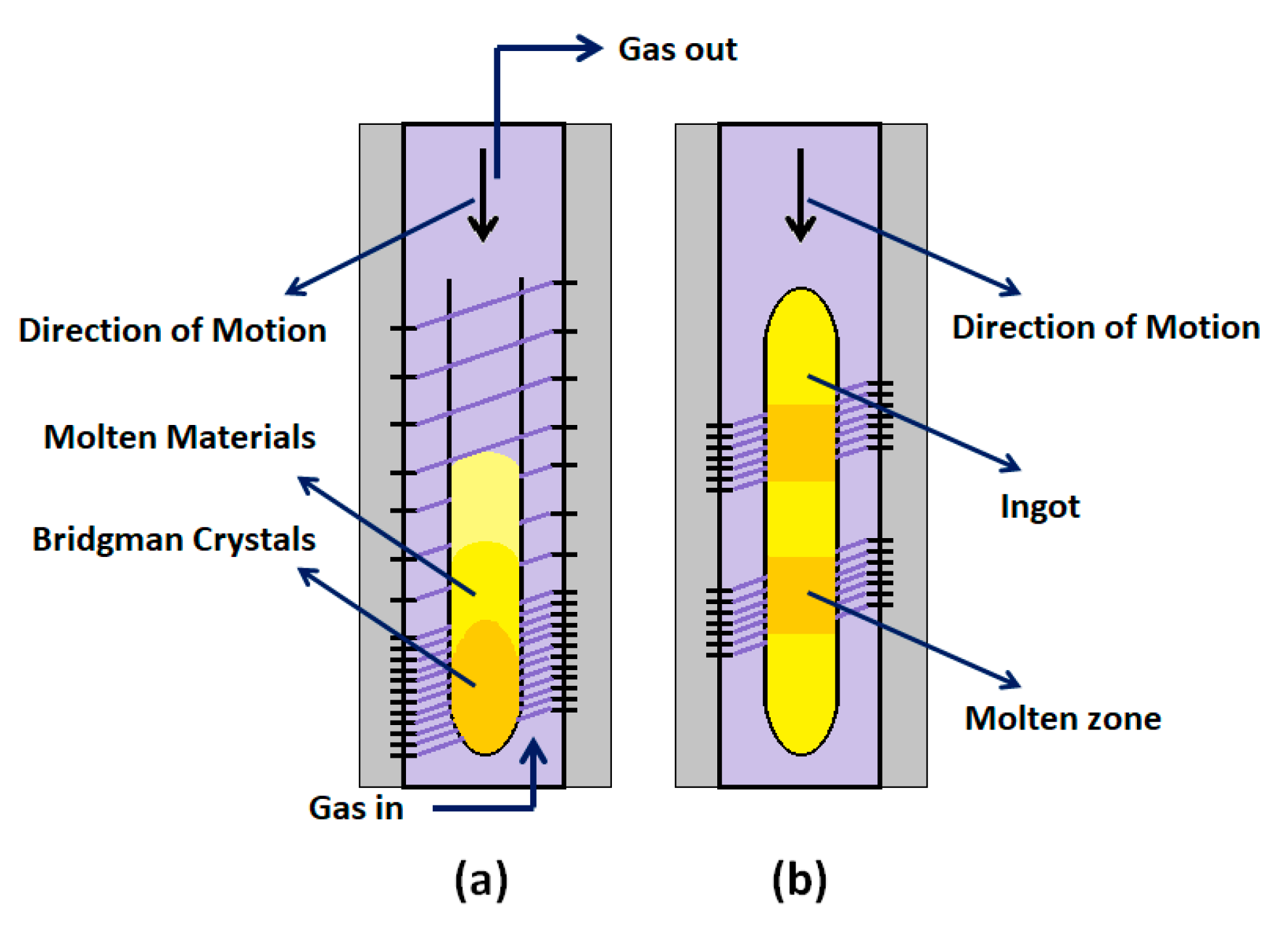 Molecules 26 00958 g007