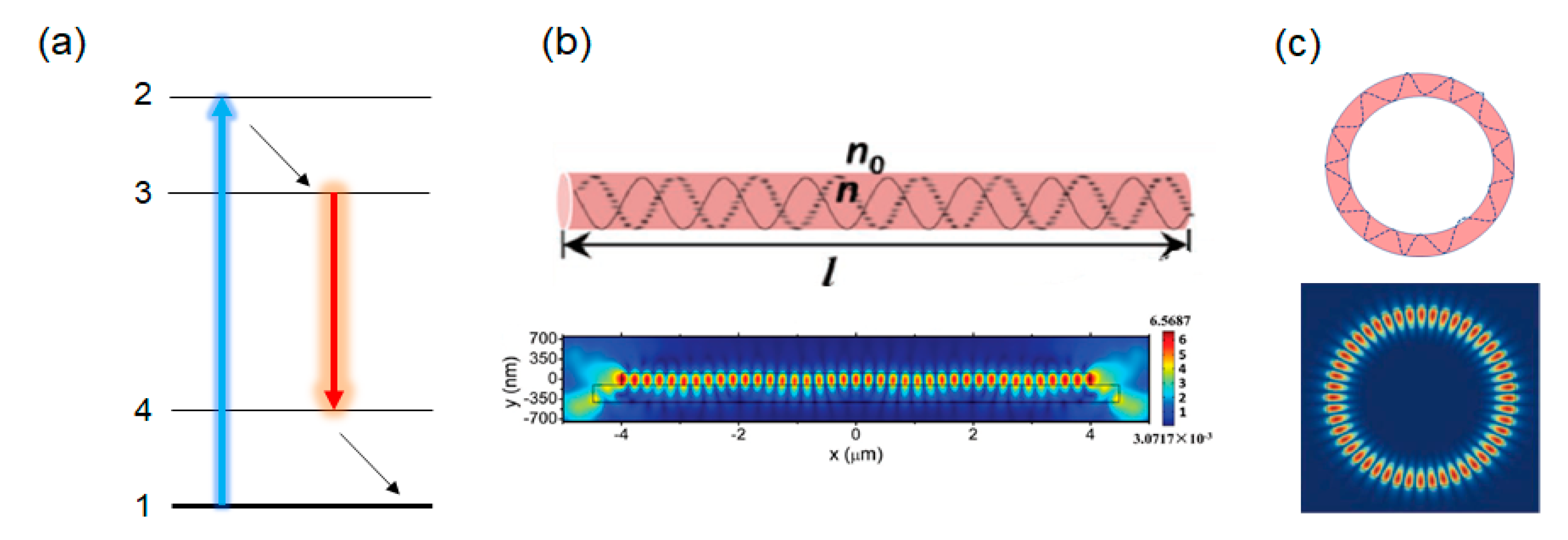Molecules 26 00958 g010