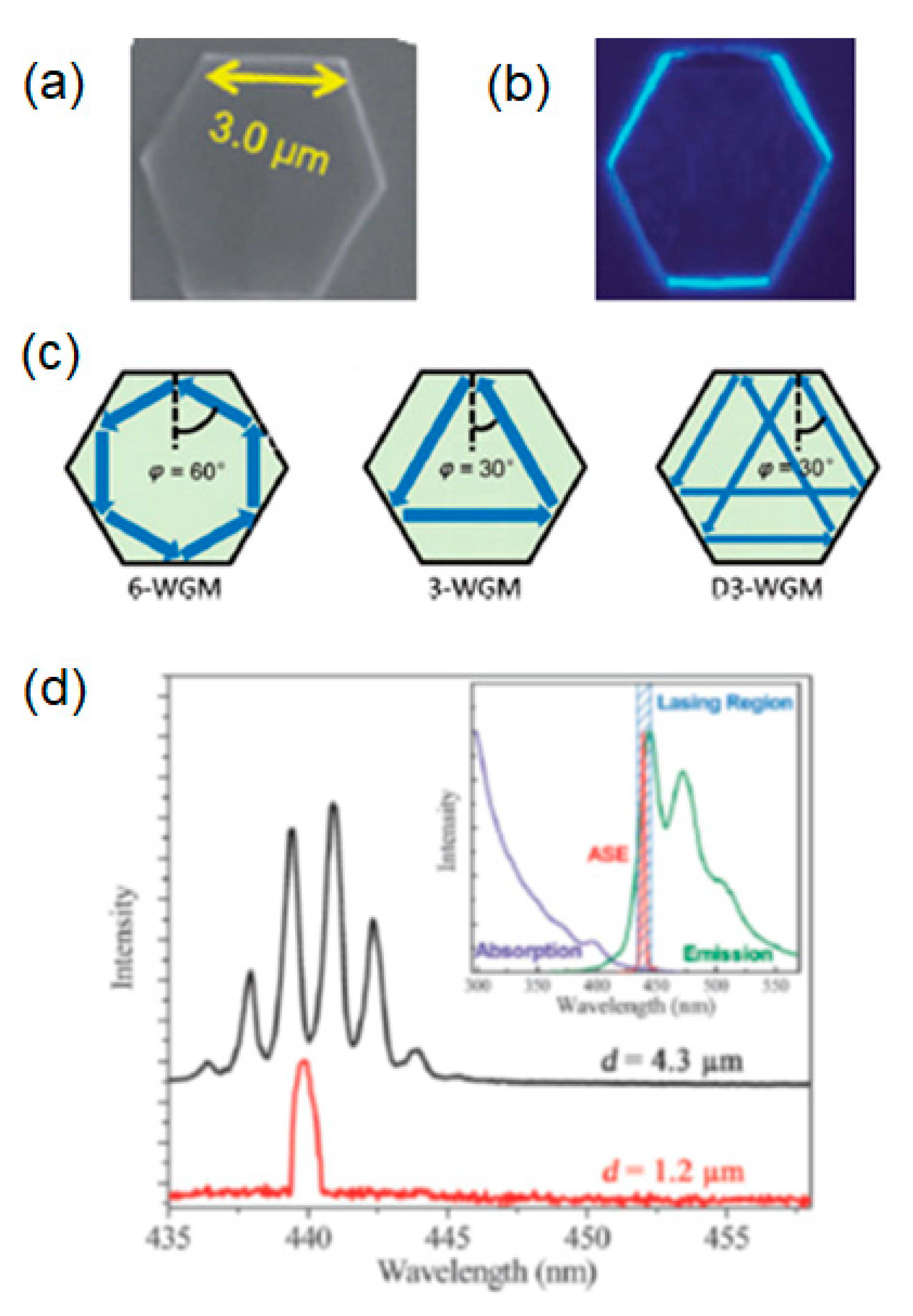 Molecules Free Full Text Organic Semiconductor Micro Nanocrystals For Laser Applications Html