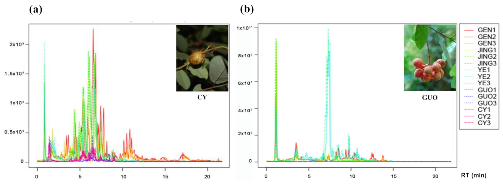 Molecules 26 00960 g001 Molecules 26 00960 g001