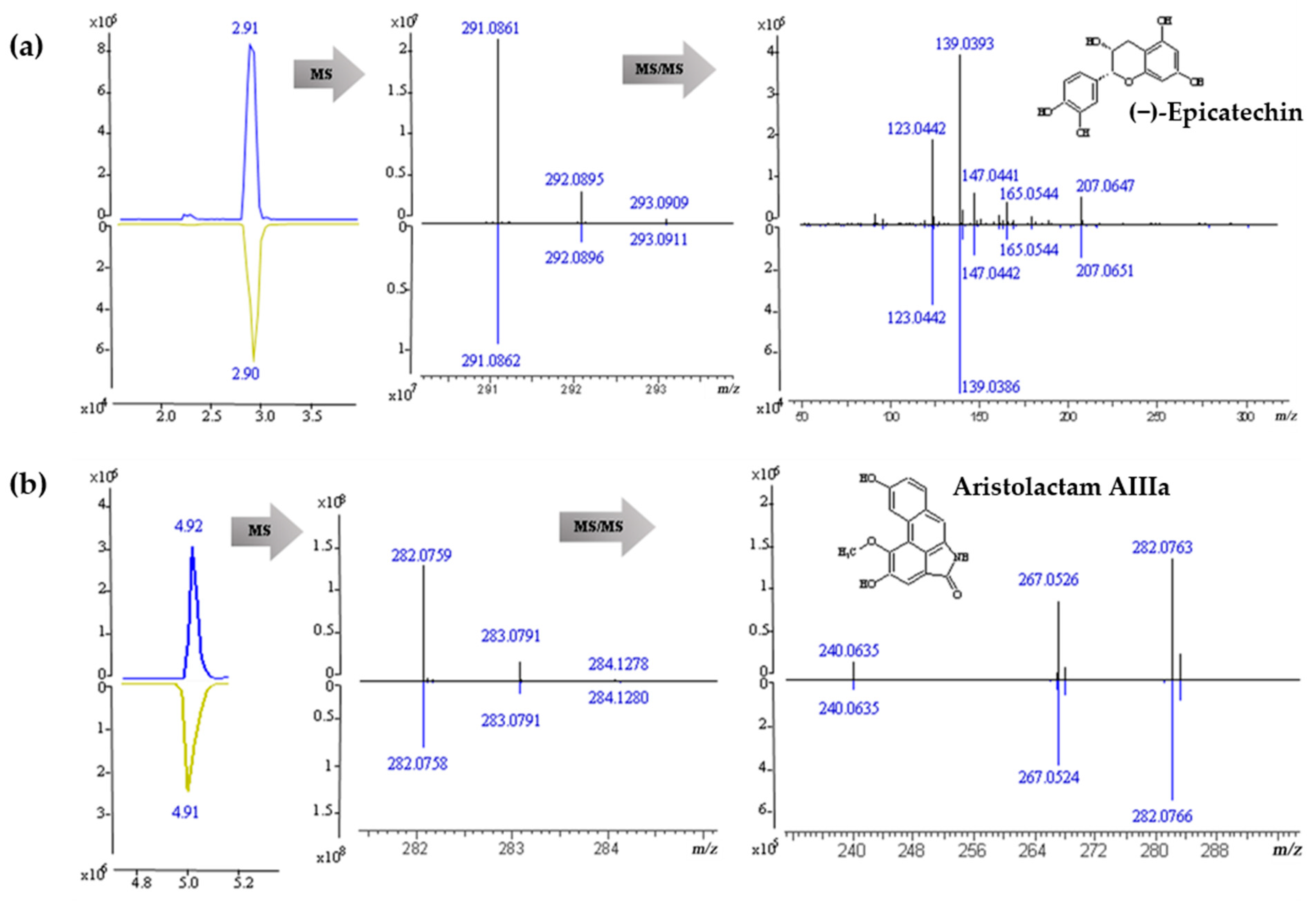 Molecules 26 00960 g004 Molecules 26 00960 g004