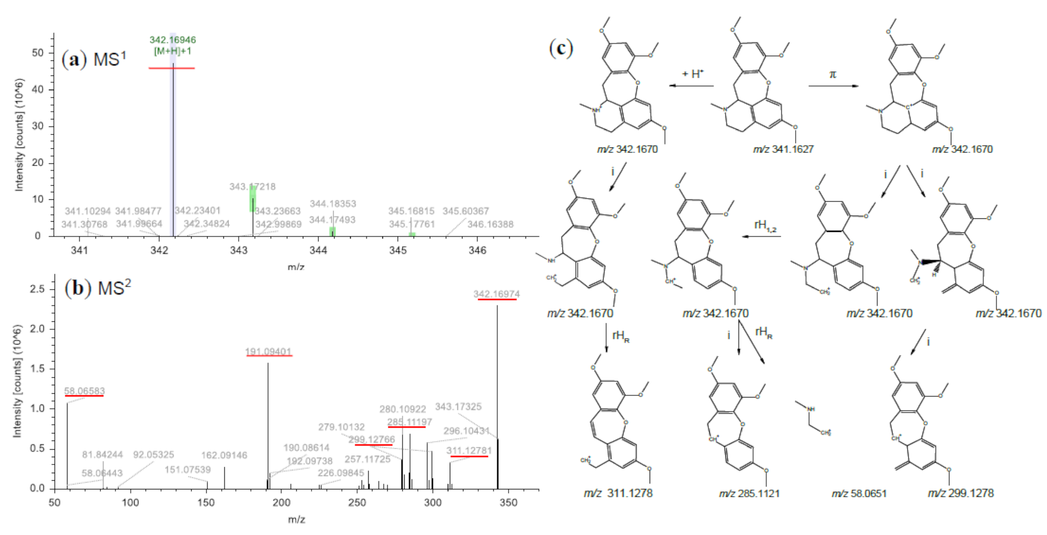 Molecules 26 00960 g005 Molecules 26 00960 g005