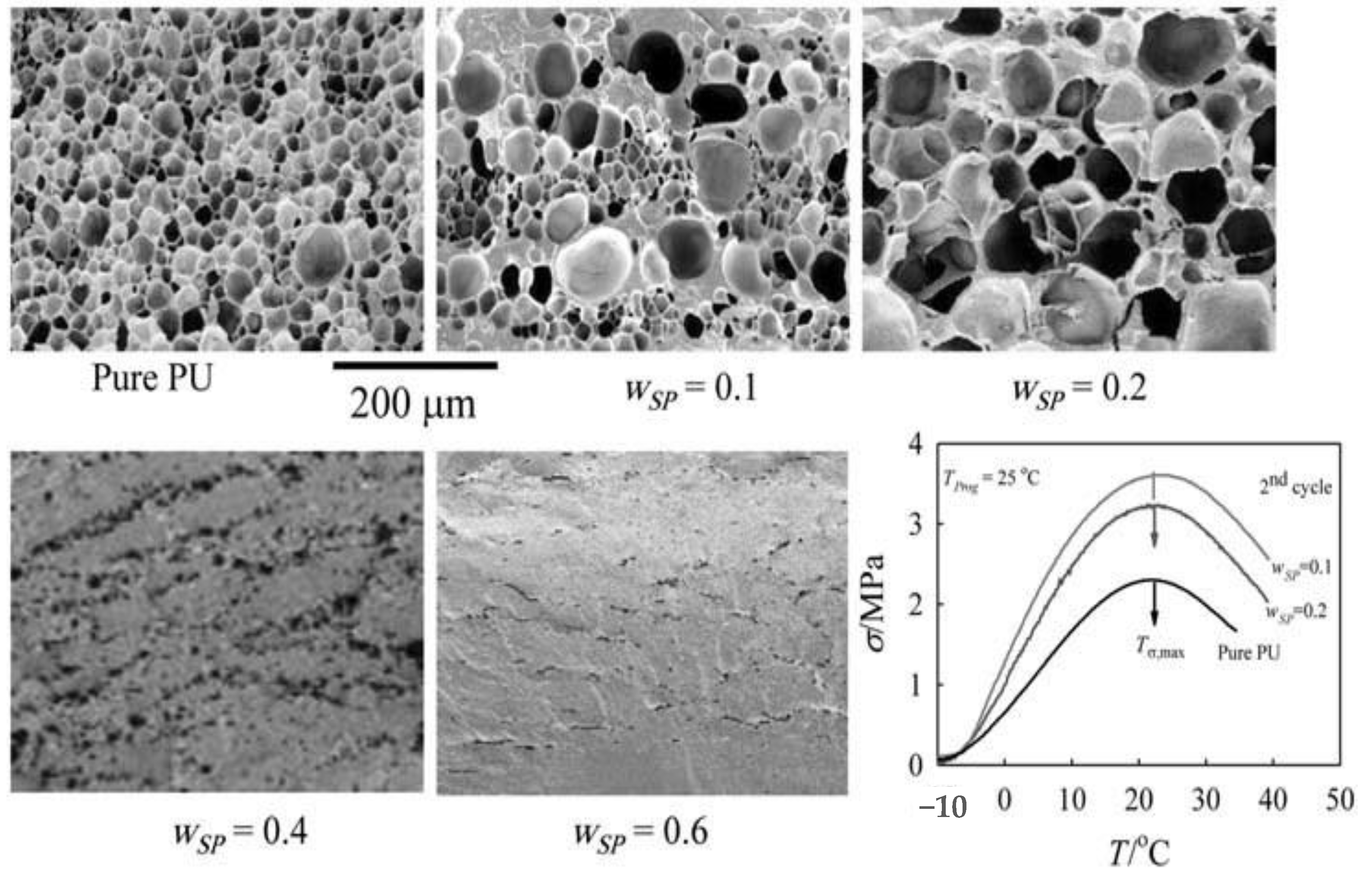 Molecules 26 00961 g007 Molecules 26 00961 g007