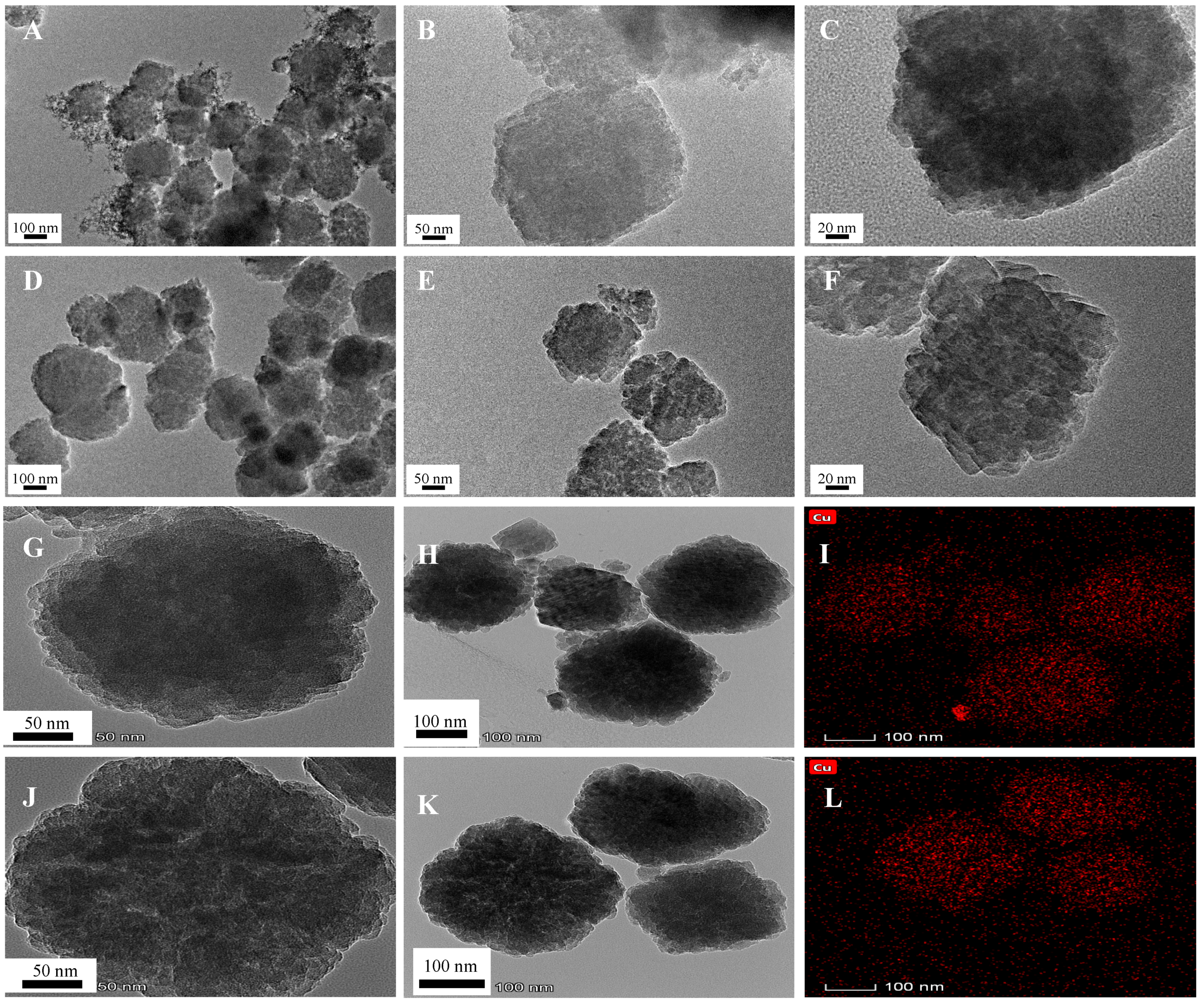 Molecules 26 00978 g006 Molecules 26 00978 g006
