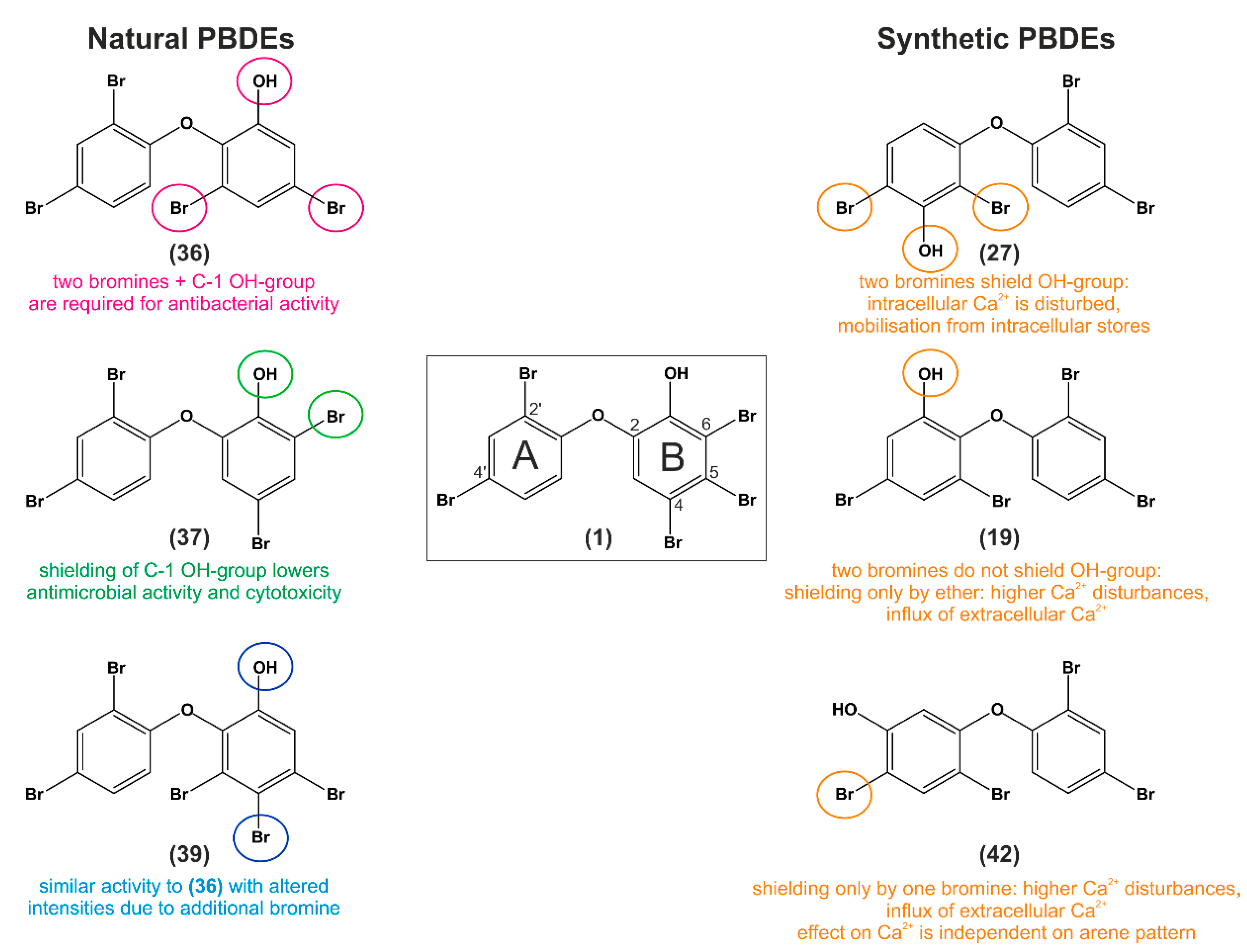 Molecules | Free Full-Text | 40 Years of Research on Polybrominated  Diphenyl Ethers (PBDEs)—A Historical Overview and Newest Data of a  Promising Anticancer Drug | HTML