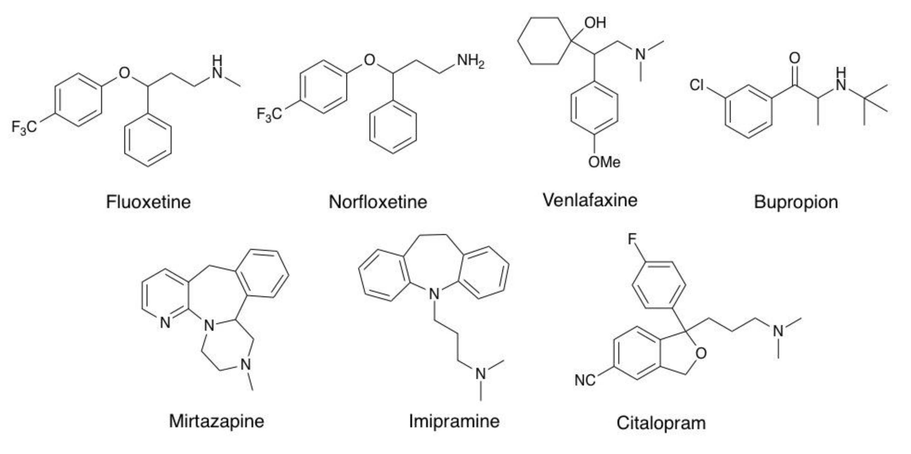 Molecules 26 00998 g001 Molecules 26 00998 g001