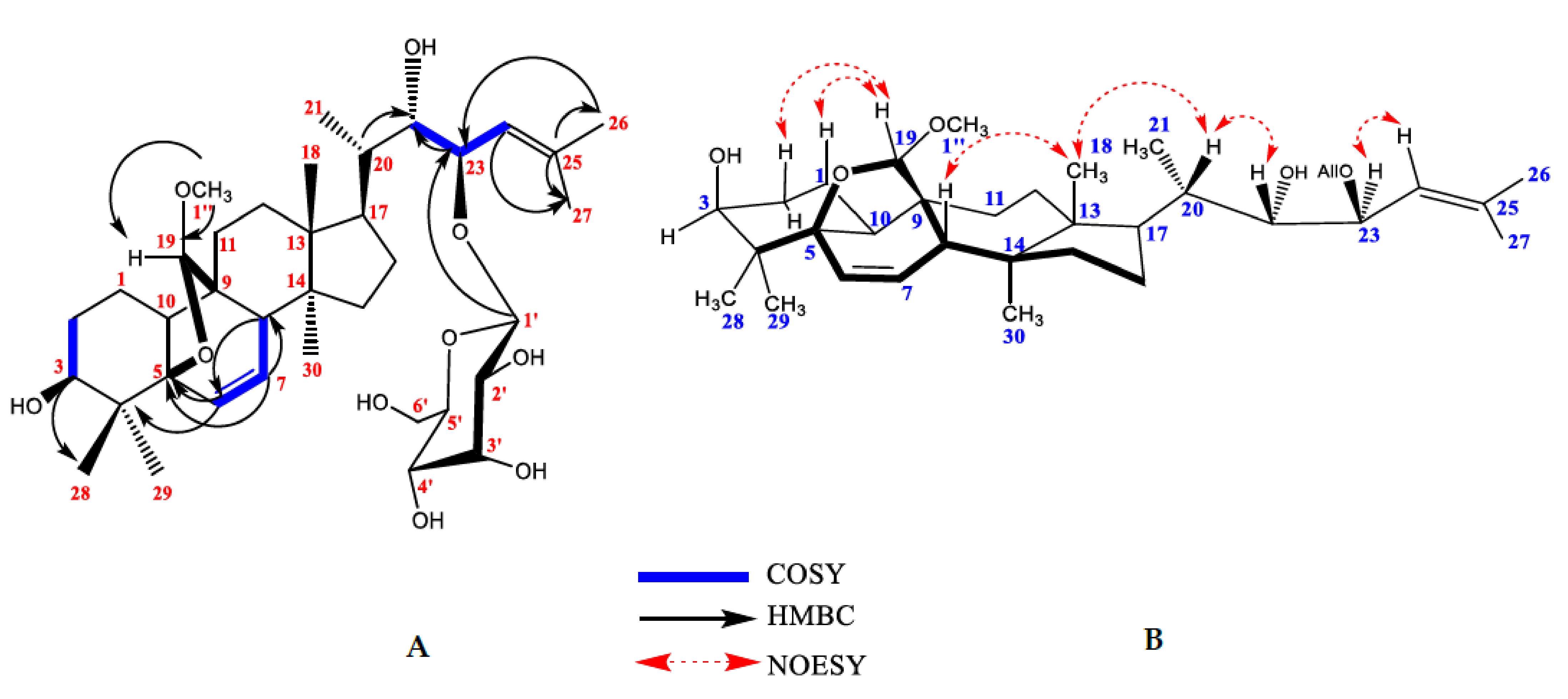 Molecules 26 01038 g001 Molecules 26 01038 g001