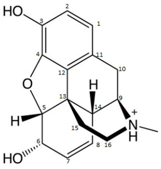 Molecules 26 01058 g001 550