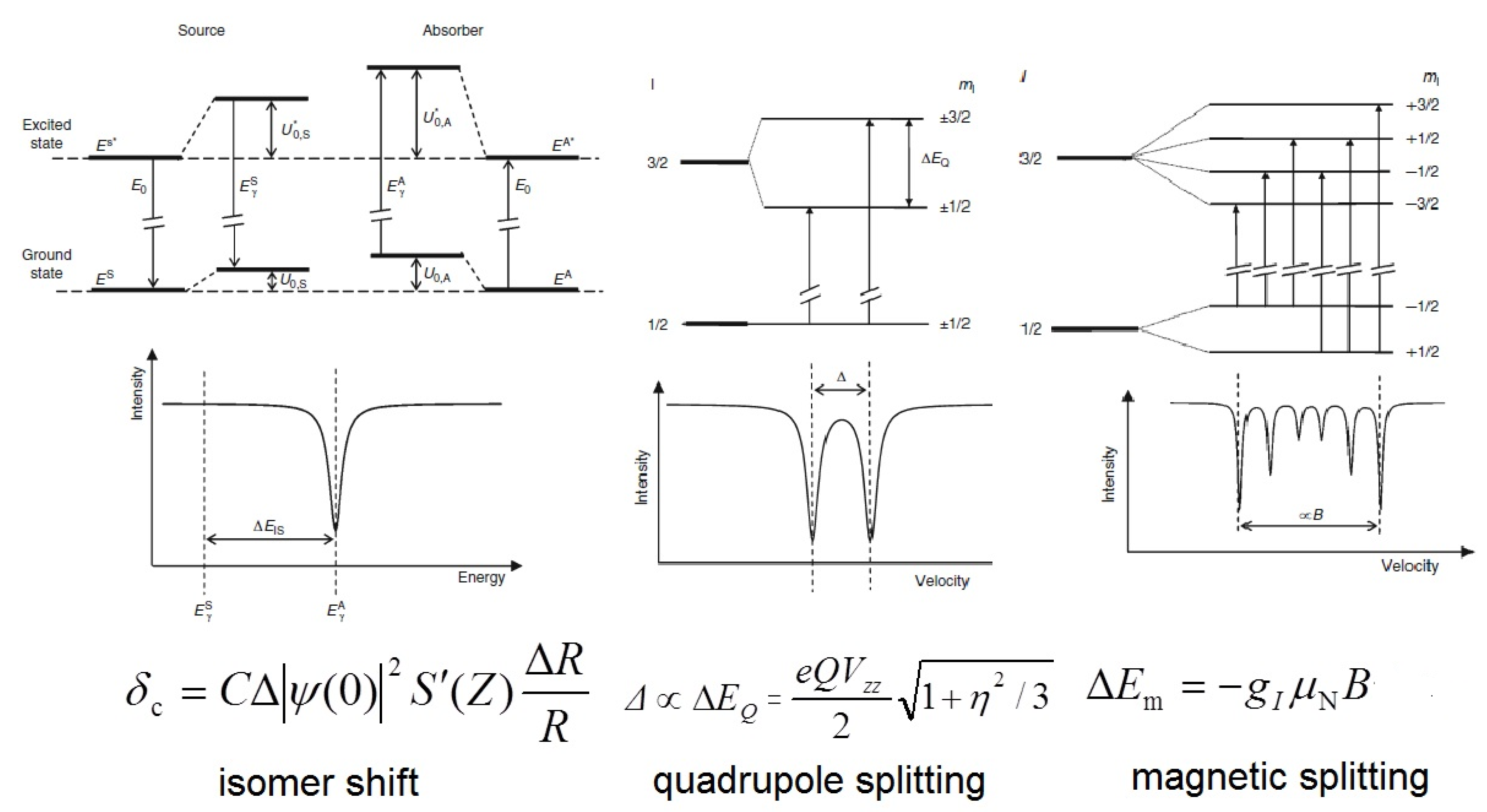 Molecules 26 01062 g001