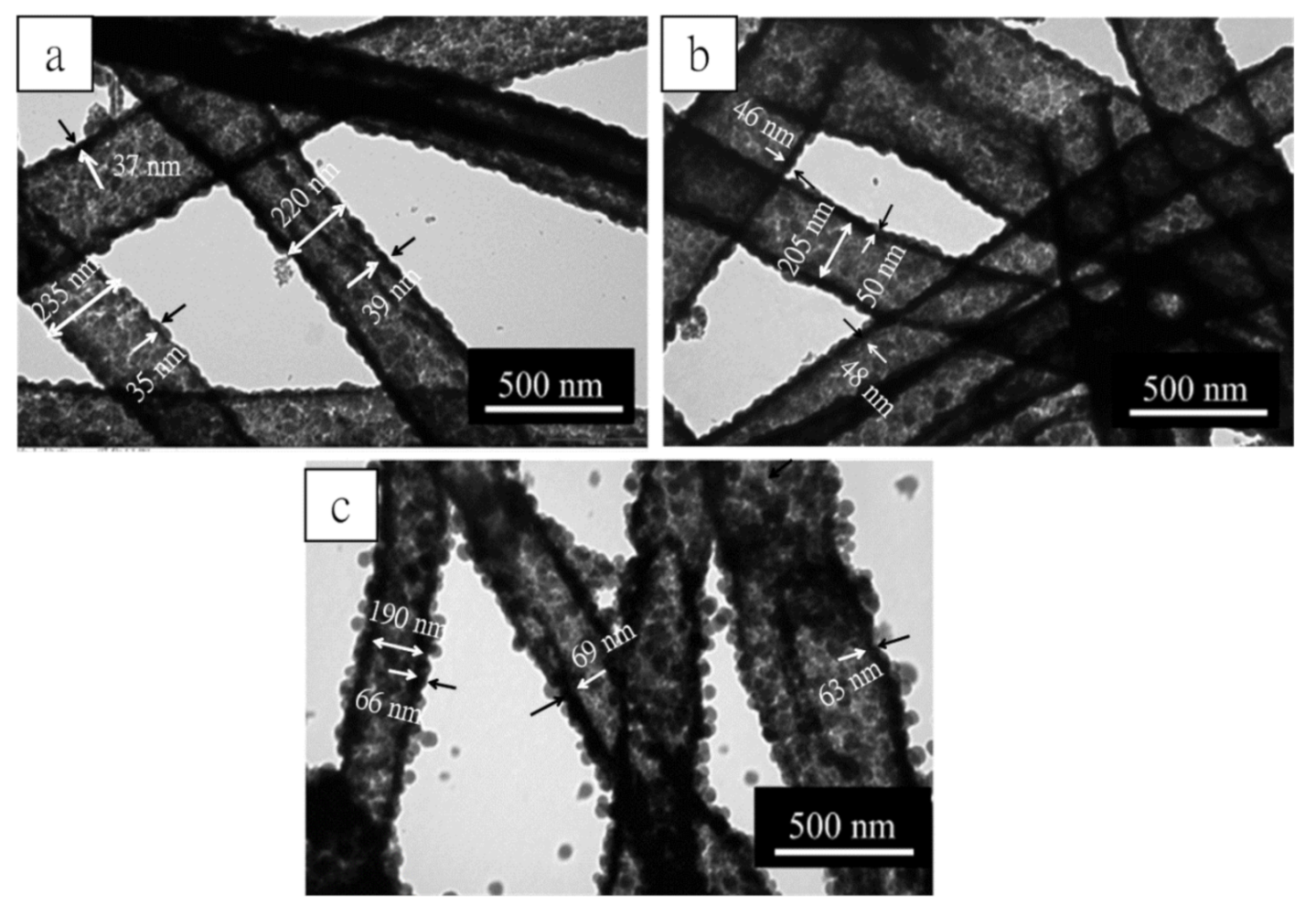 Molecules 26 01073 g005