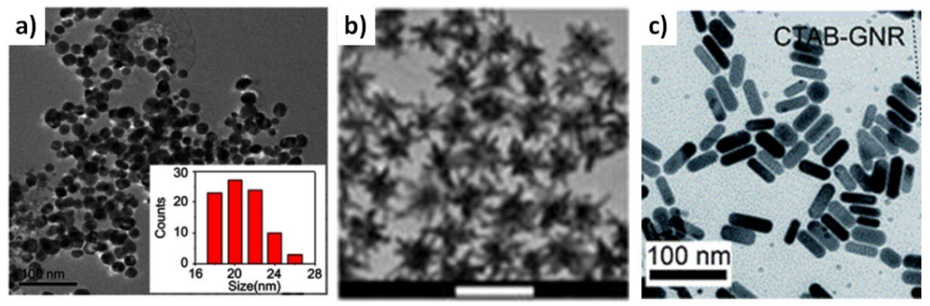 Molecules 26 01077 g005 Molecules 26 01077 g005