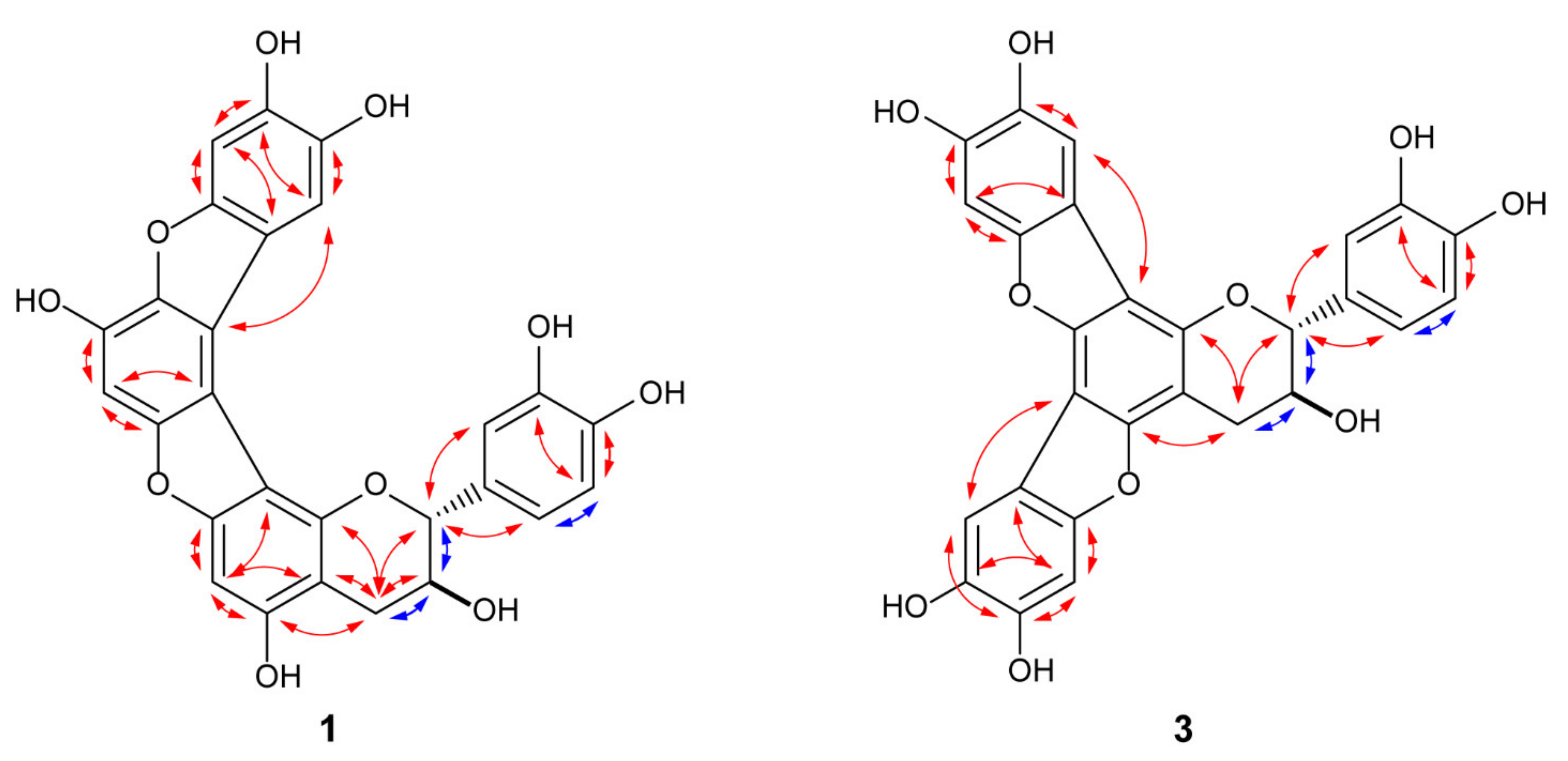 Molecules 26 01078 g002 Molecules 26 01078 g002