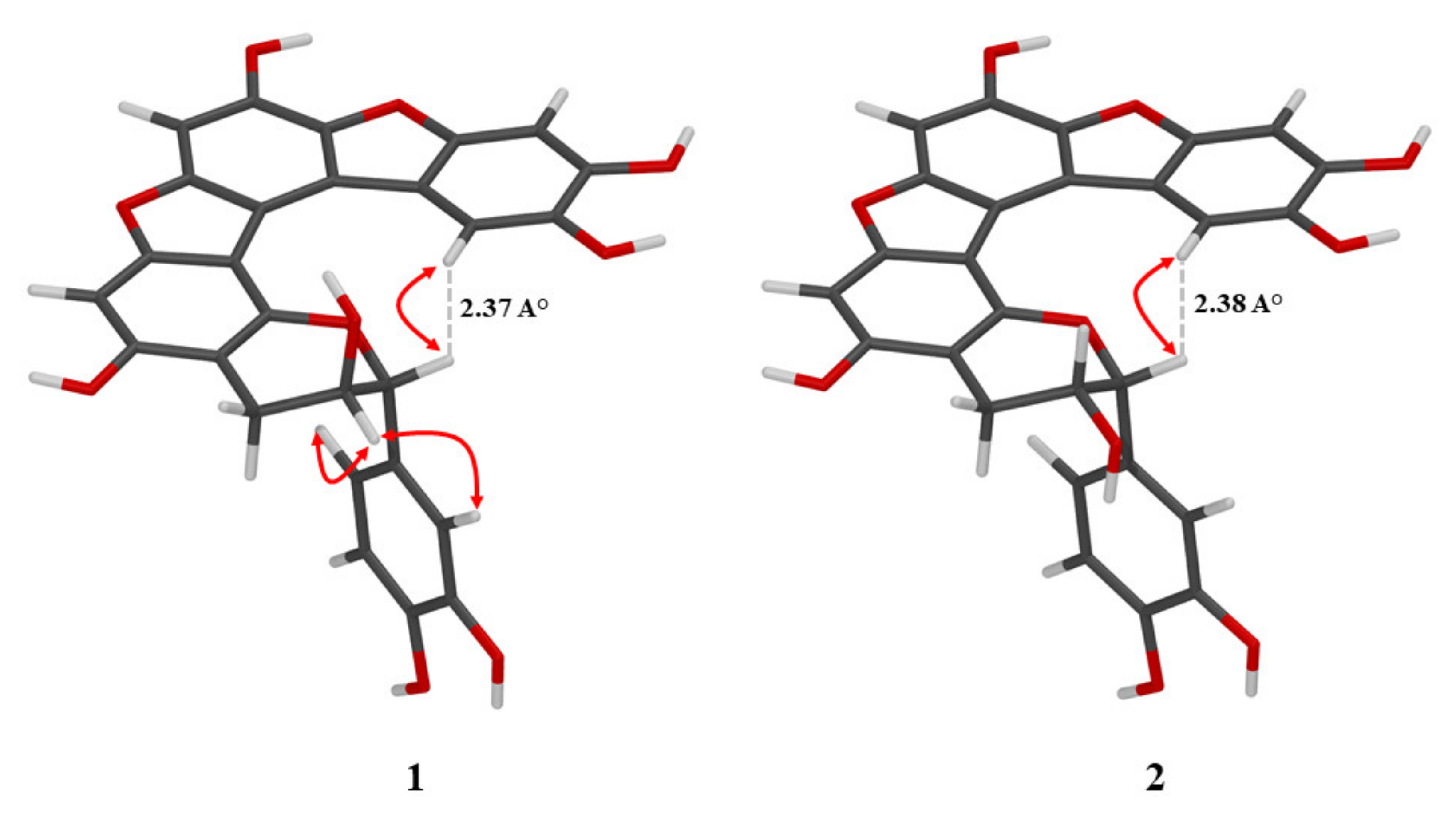 Molecules 26 01078 g003 Molecules 26 01078 g003