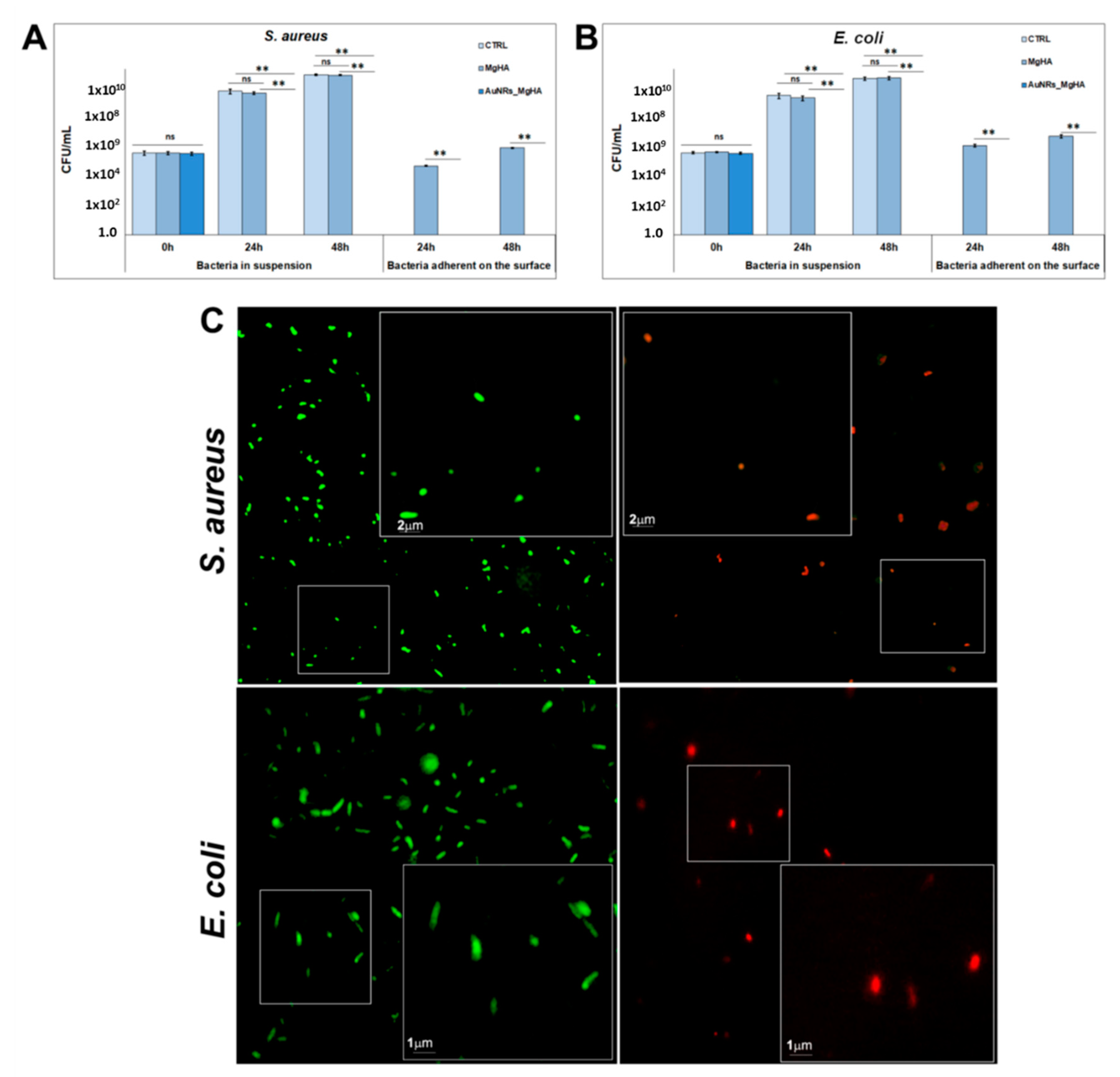 Molecules 26 01099 g002
