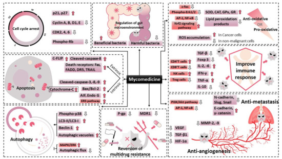 Molecules 26 01113 g002 550