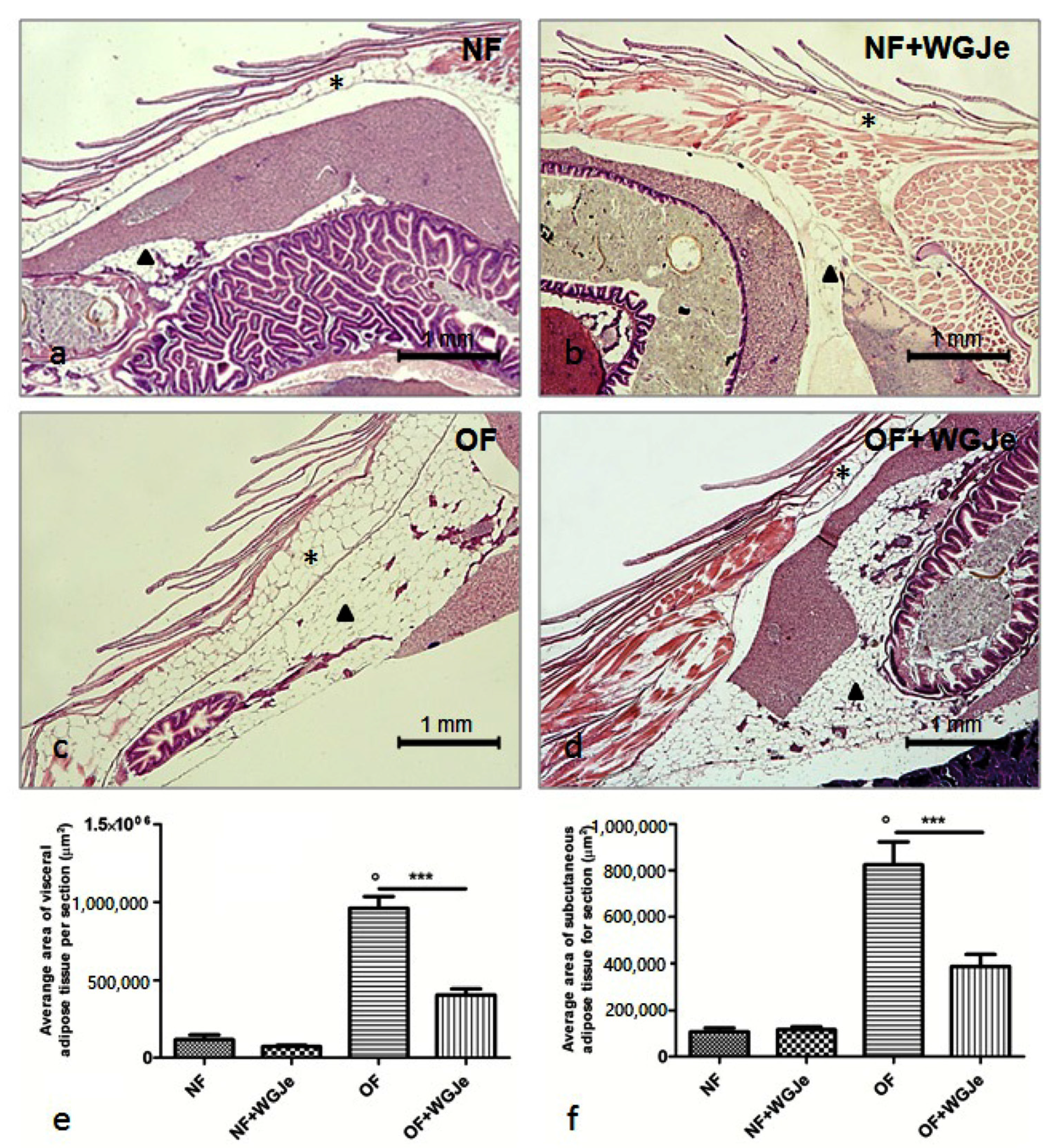 Molecules 26 01119 g003