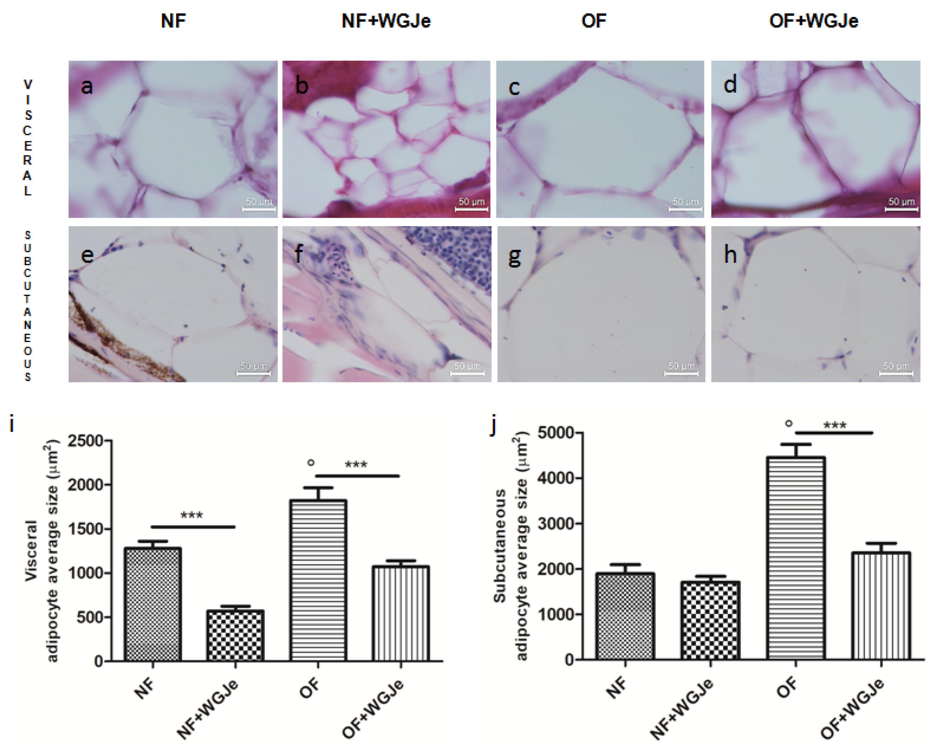 Molecules 26 01119 g004
