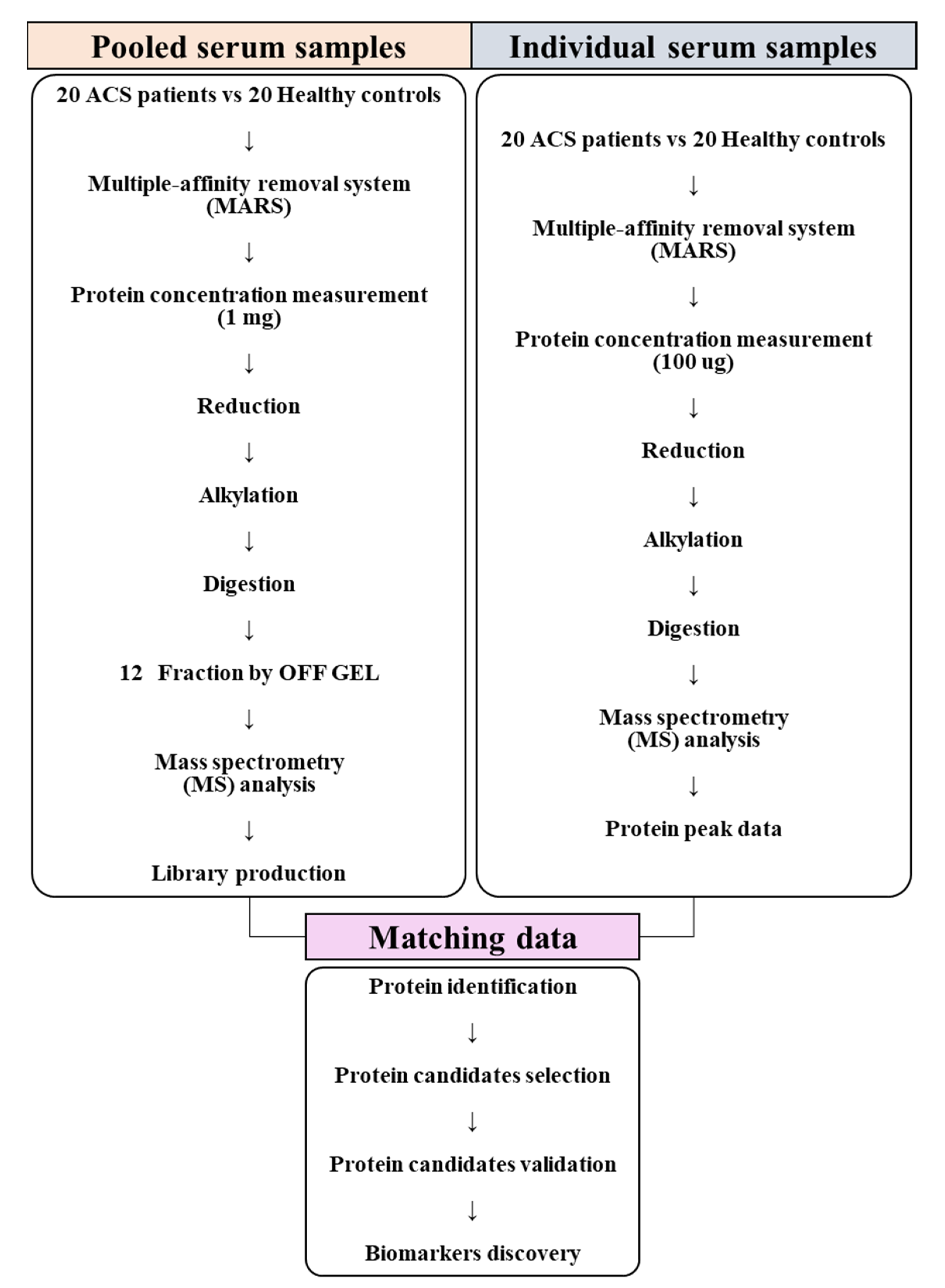 Molecules 26 01136 g001 Molecules 26 01136 g001