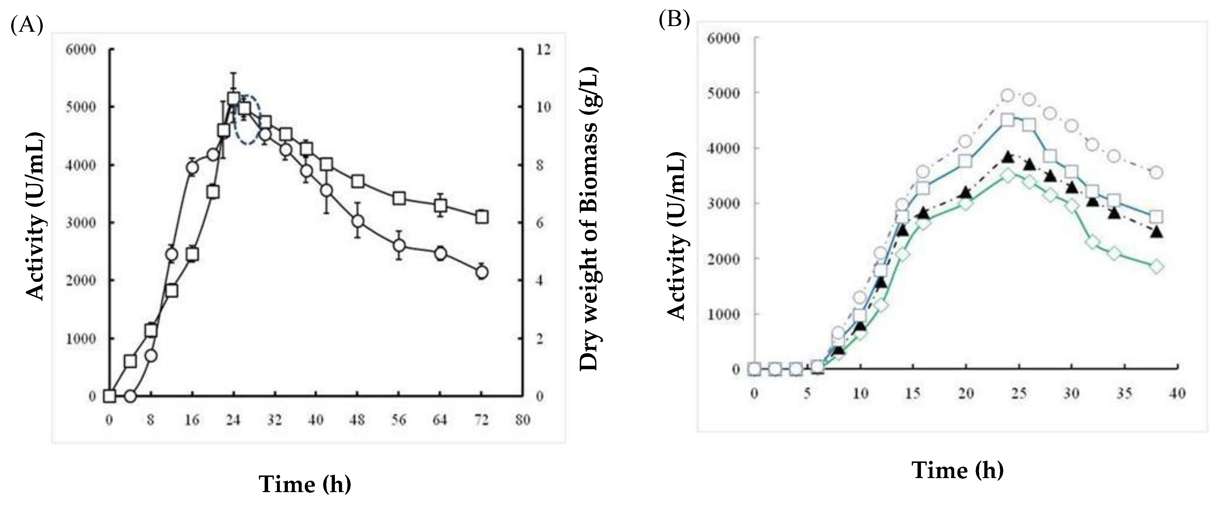 Molecules 26 01139 g004 Molecules 26 01139 g004