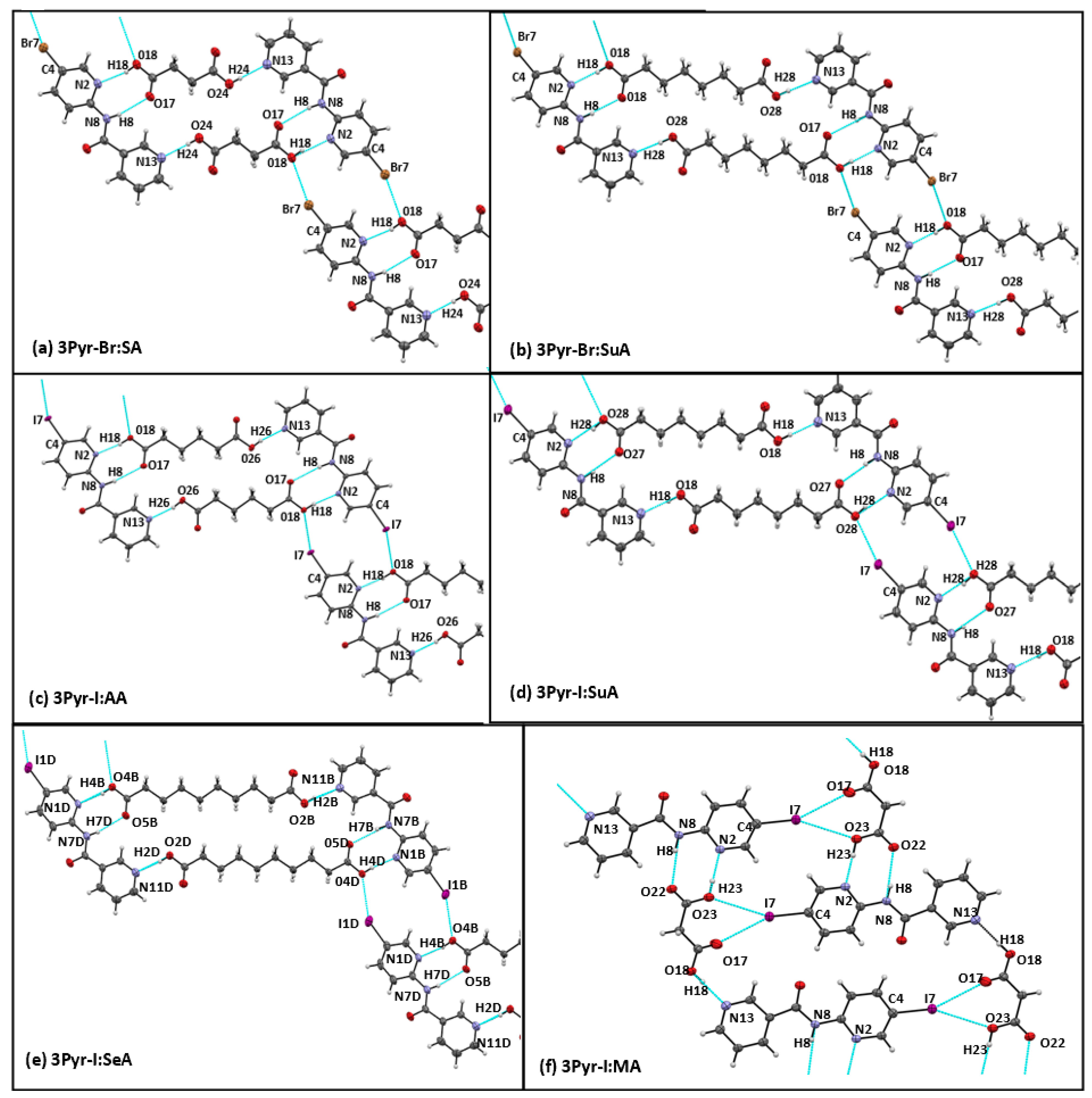 Molecules 26 01147 g004 Molecules 26 01147 g004