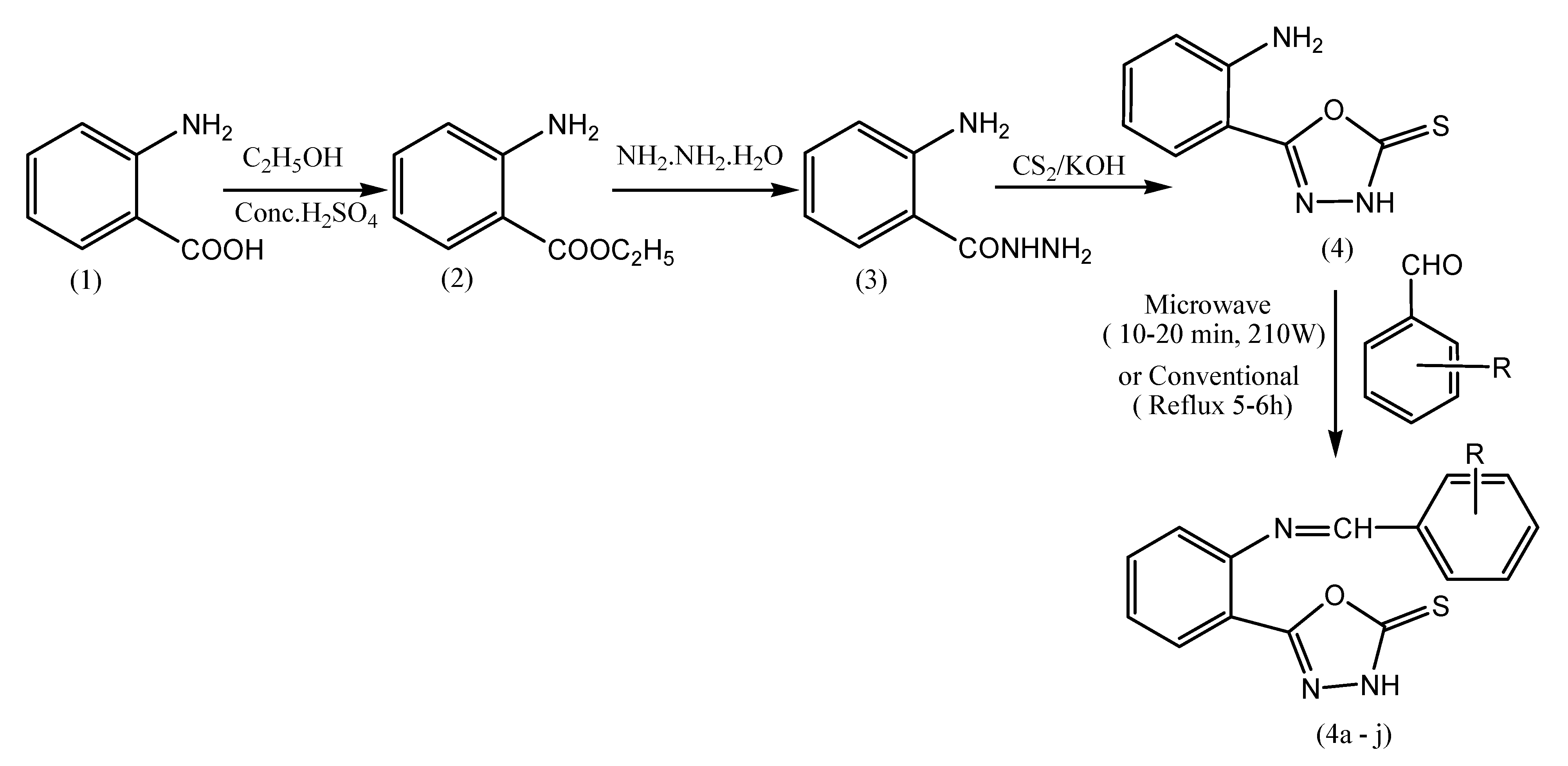 Molecules 26 01163 sch006 Molecules 26 01163 sch006