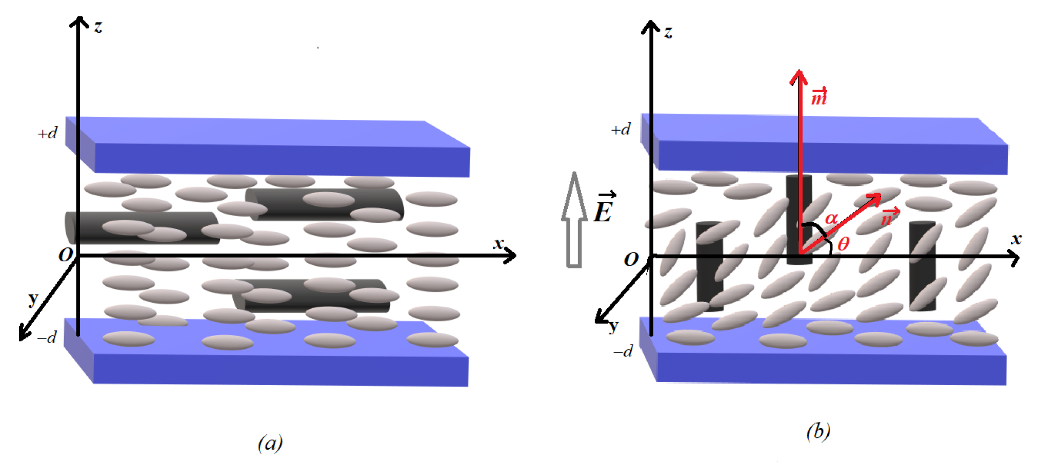 Molecules 26 01166 g001