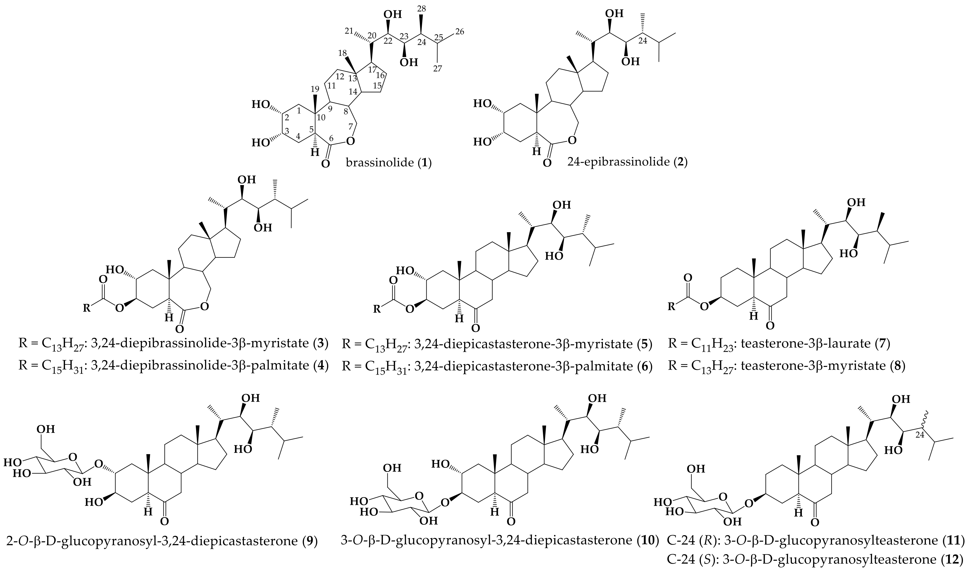 Molecules 26 01173 g001 Molecules 26 01173 g001