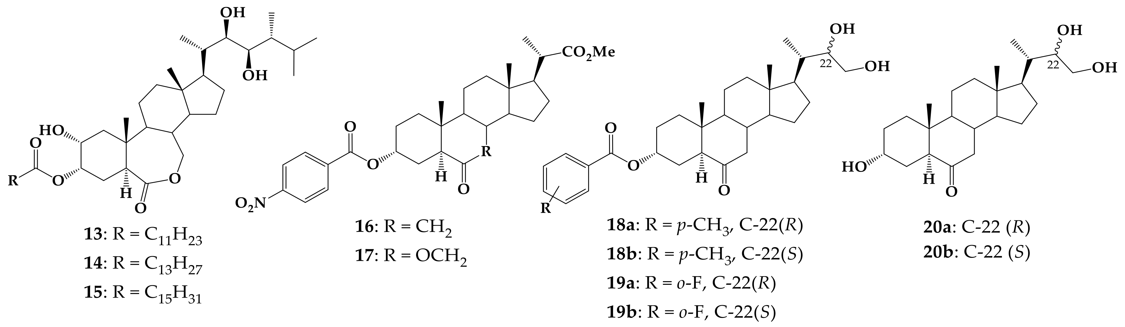 Molecules 26 01173 g002 Molecules 26 01173 g002