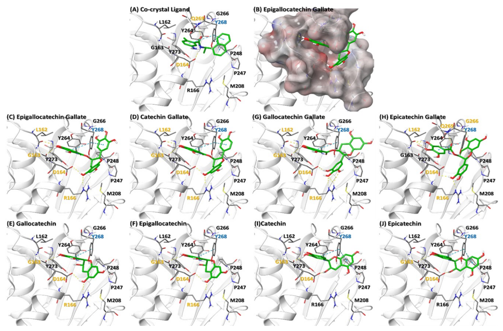 Molecules 26 01200 g005 Molecules 26 01200 g005