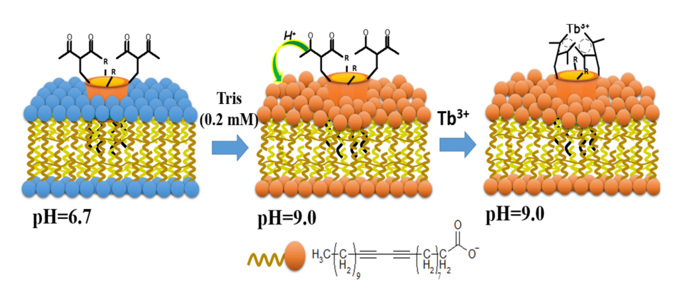 Molecules 26 01214 g017